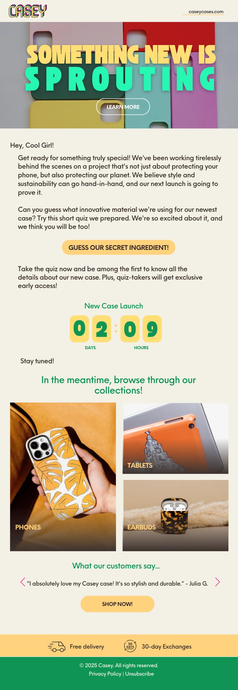 Pre-Launch Teaser Email