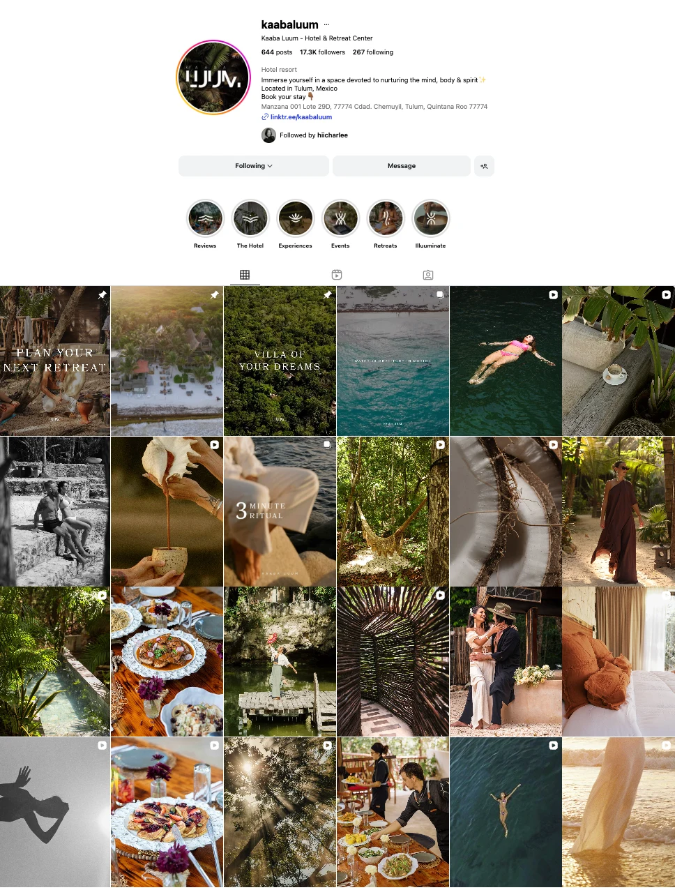 Community Manager and Content Creator/Designer