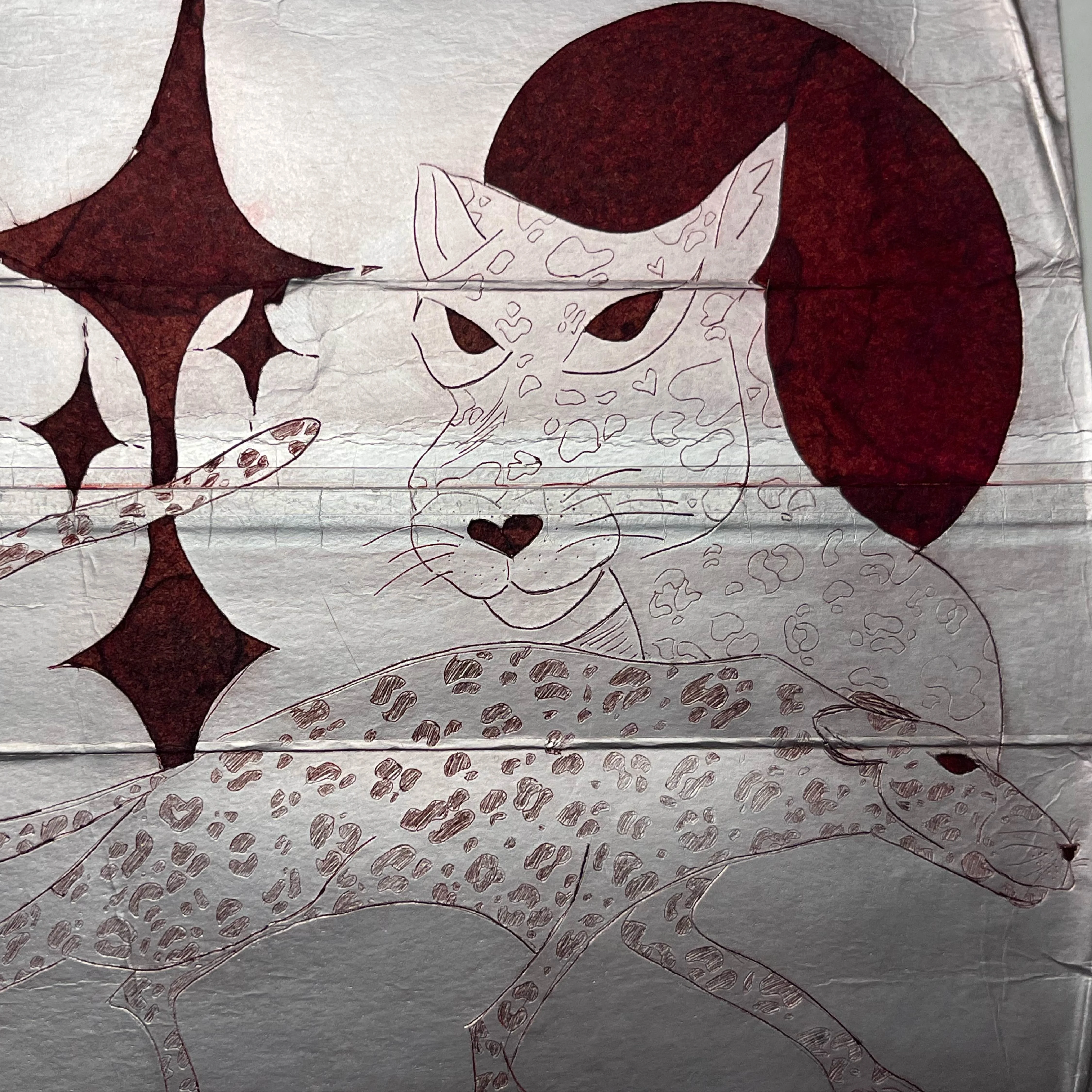 Pretty big cats 