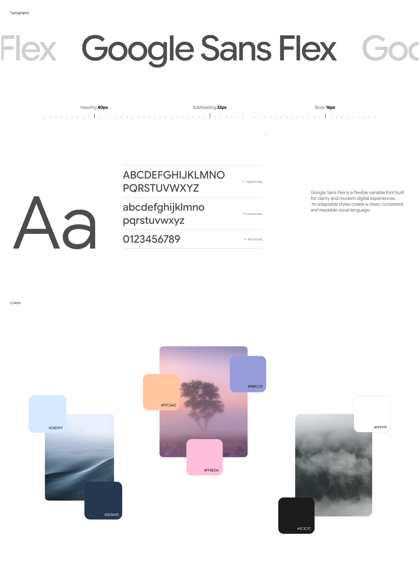 Brand Identity