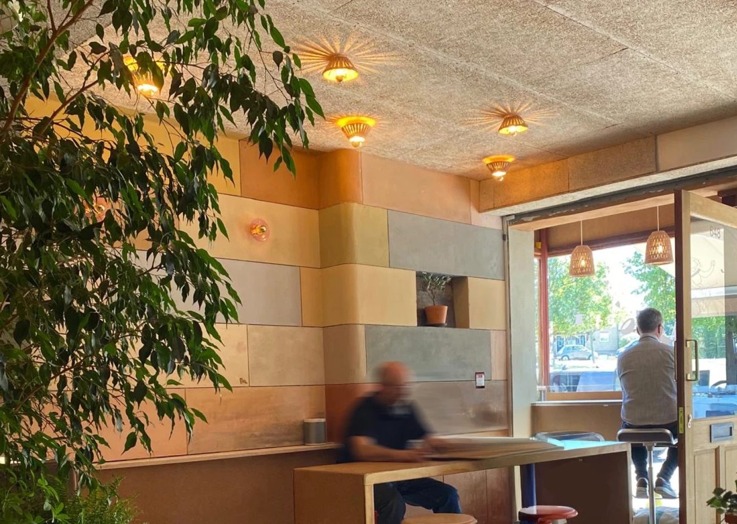 Interior of Clay & Bean café with clay plaster panel walls, warm ceiling lights, plants, and natural light.