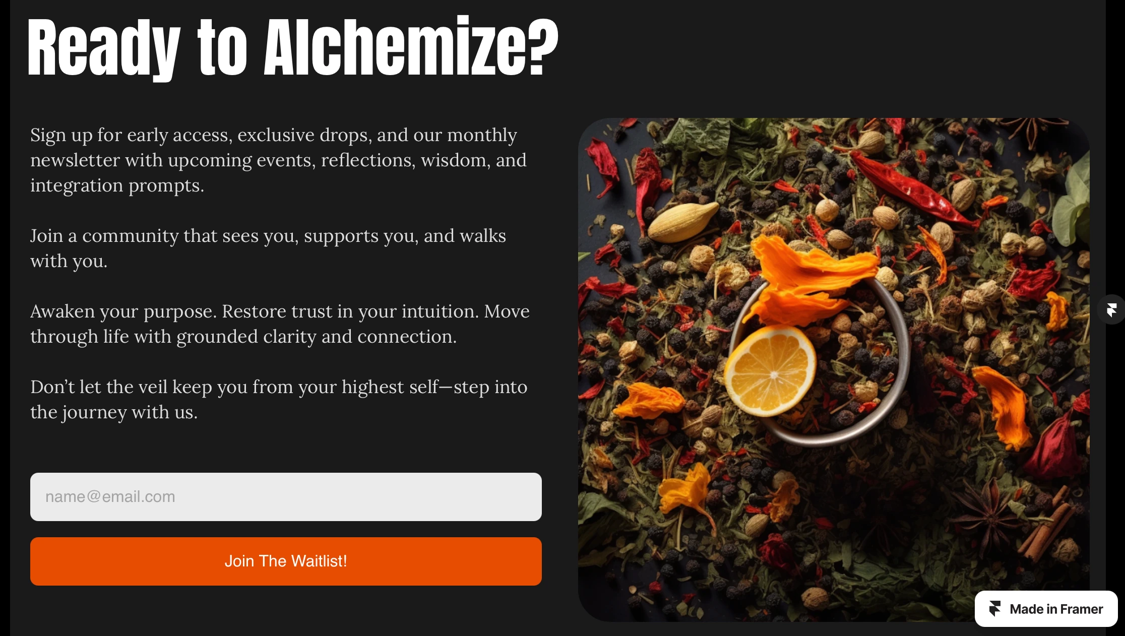 The CTA button matches the vivid imagery and bold, bright oranges and reds seen in the photography and hero image.