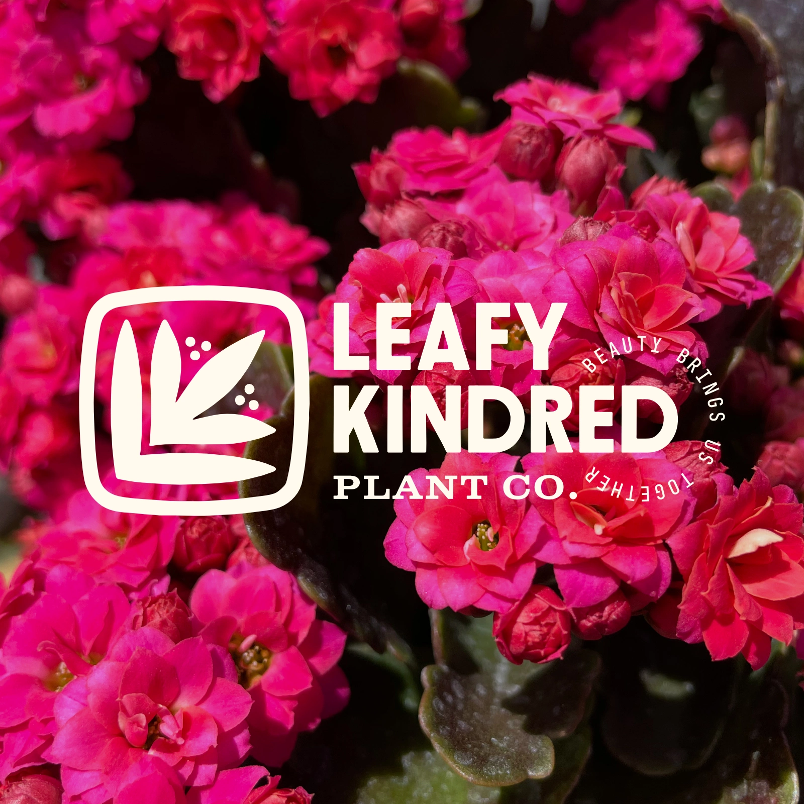Logo variation with tag line.