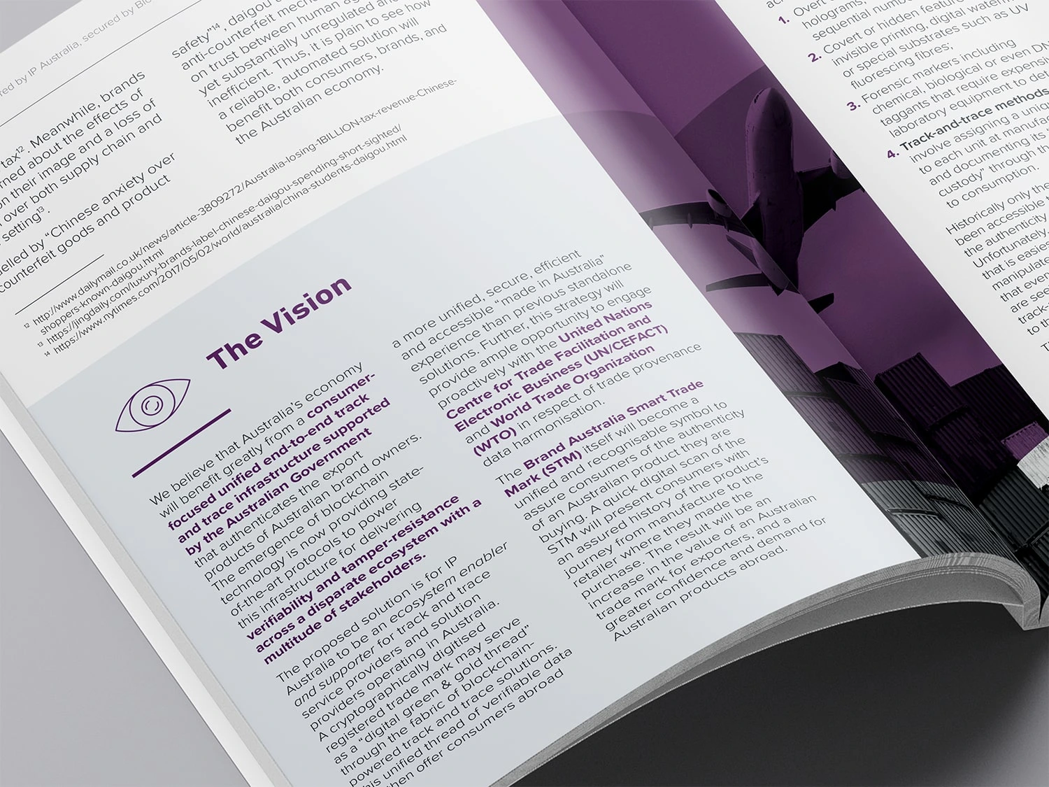 Interior Detail – Vision Section – Branded layout with clear headings, custom icons, and supporting visual to highlight key messages.