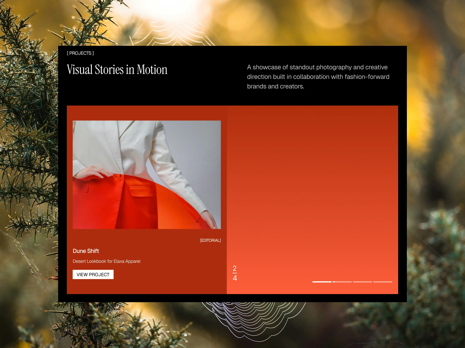 Project Showcase