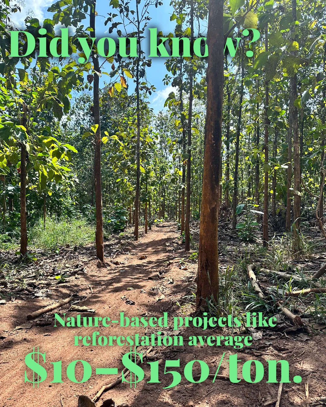 Educational social media content piece