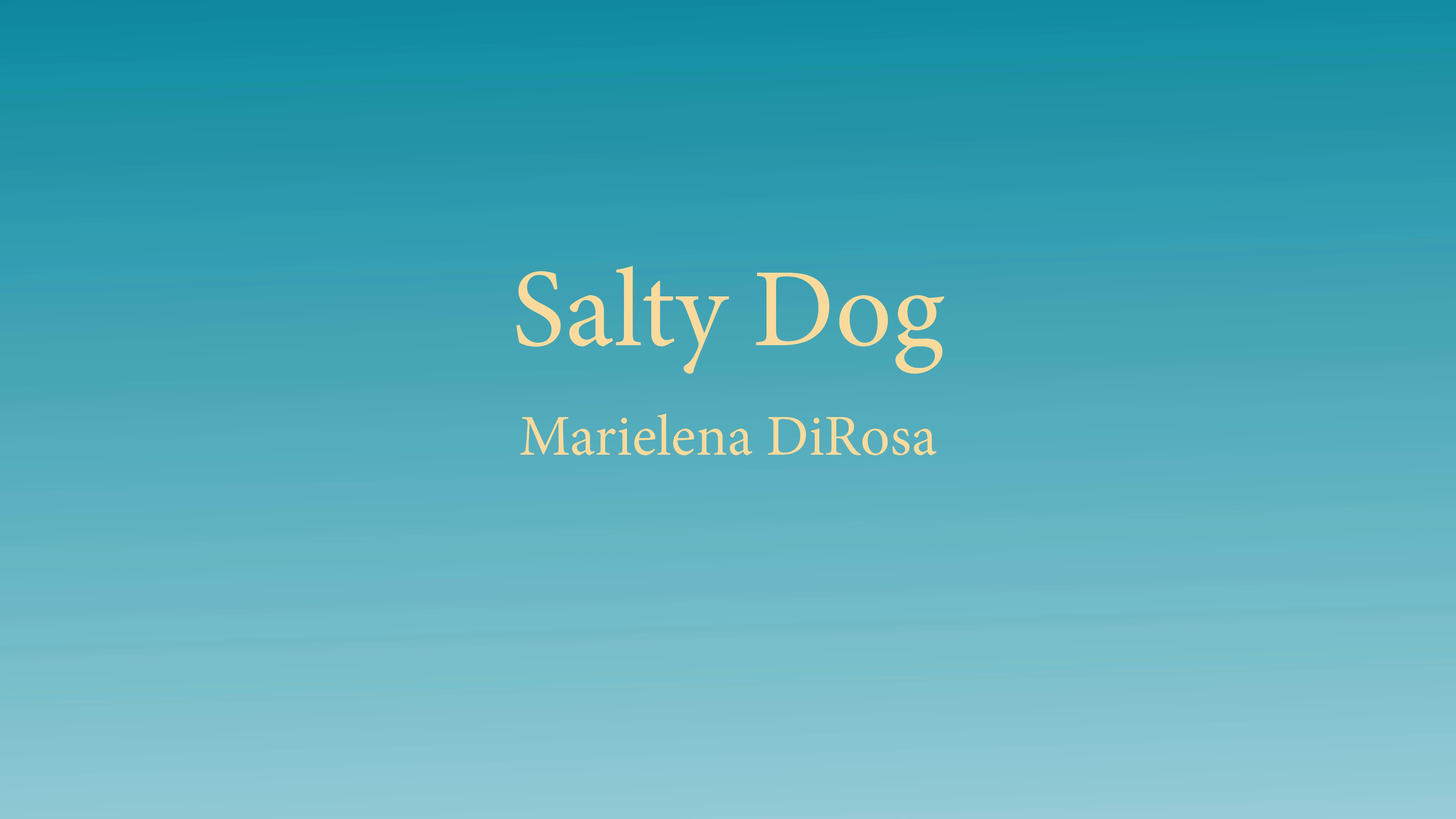 Salty Dog Brand ID presentation