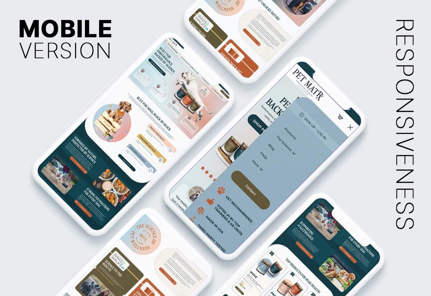 Responsive Website