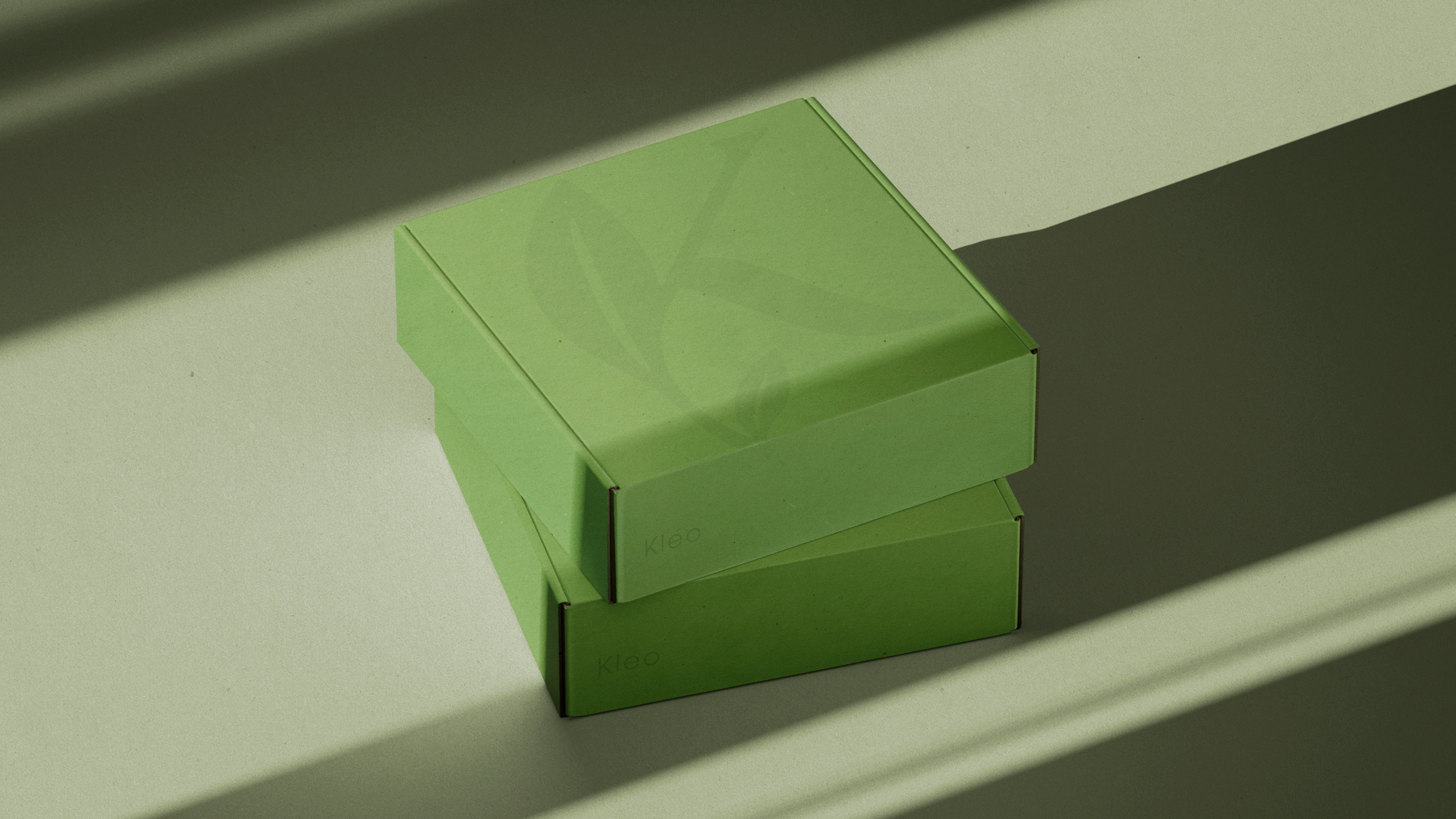 Branded mailbox design for Kleo — subtle yet sophisticated