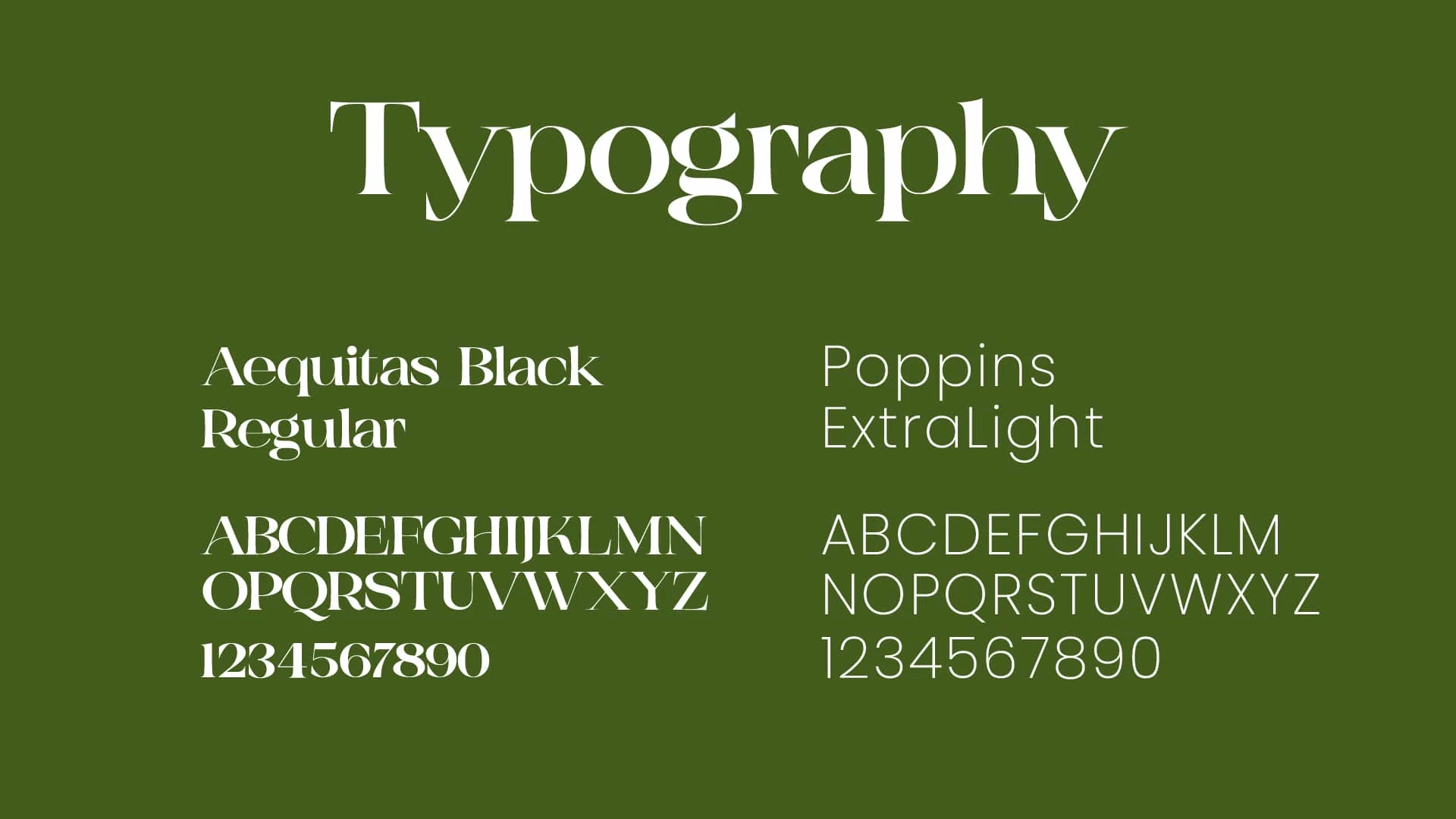 Typography Suite
