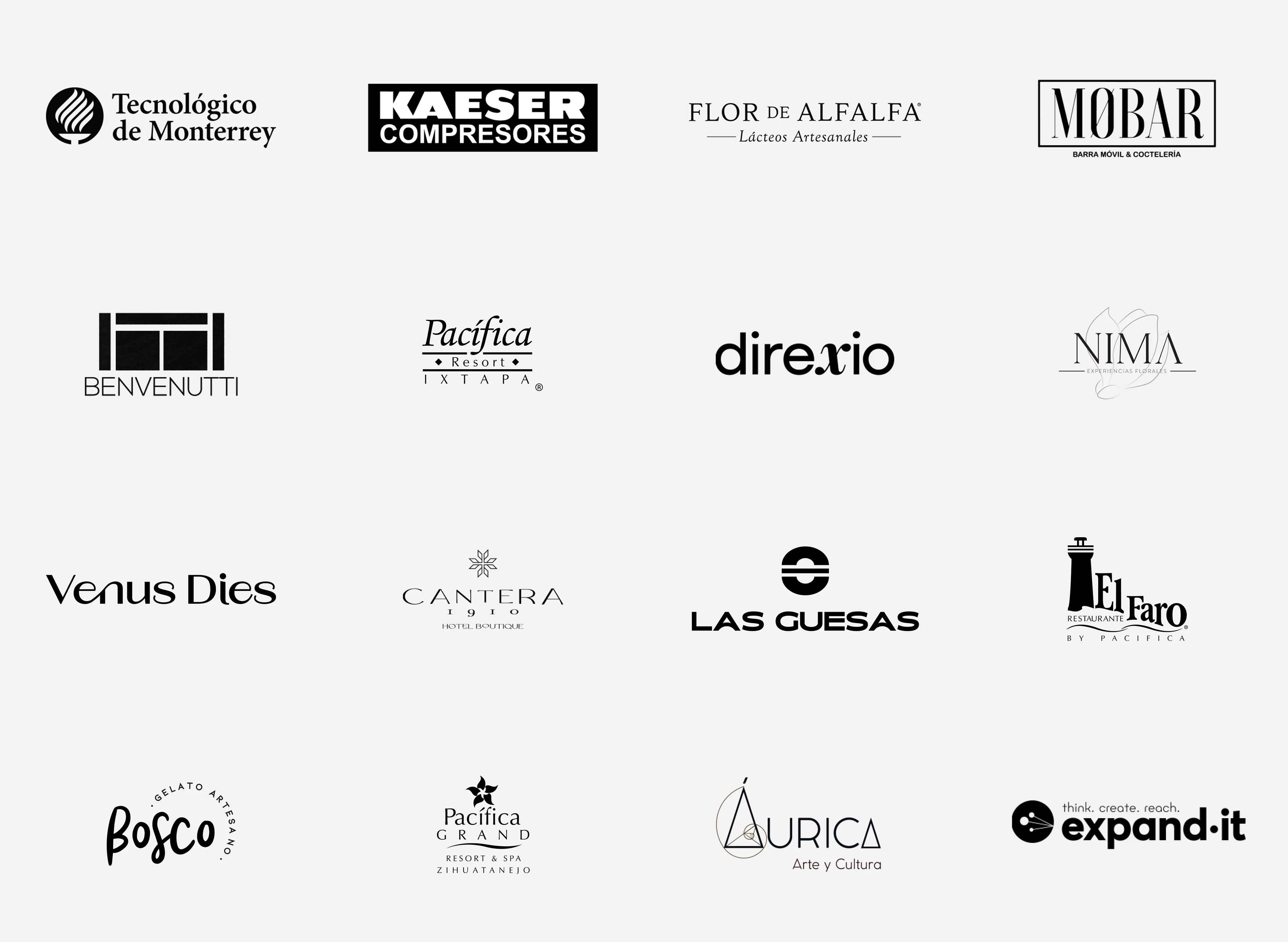 Some of the companies I have had the opportunity to collaborate with in the strategy, management, design, and community management of their social media accounts.