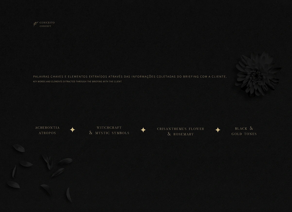 Brand Identity Concept