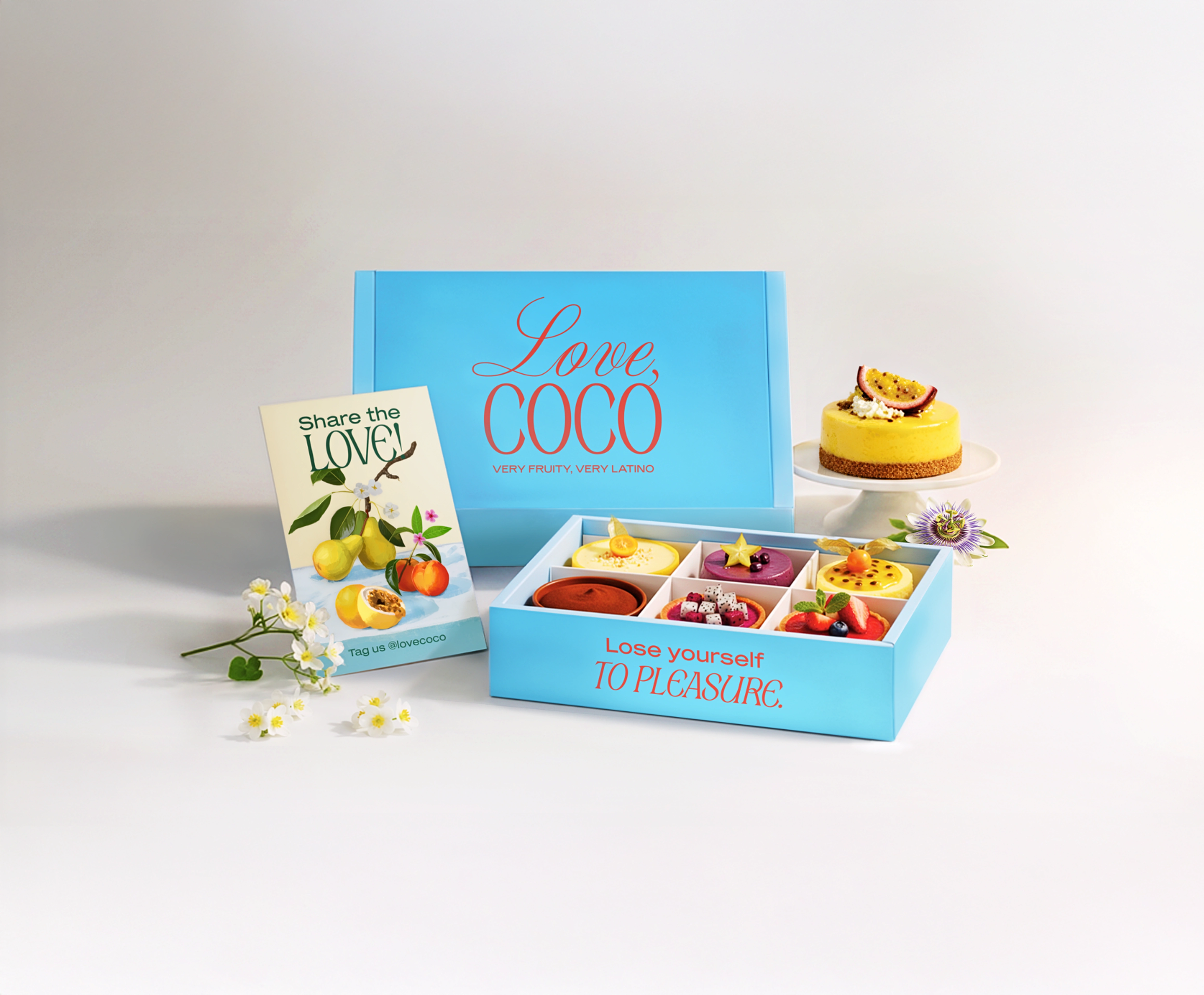 Love Coco — Visual System