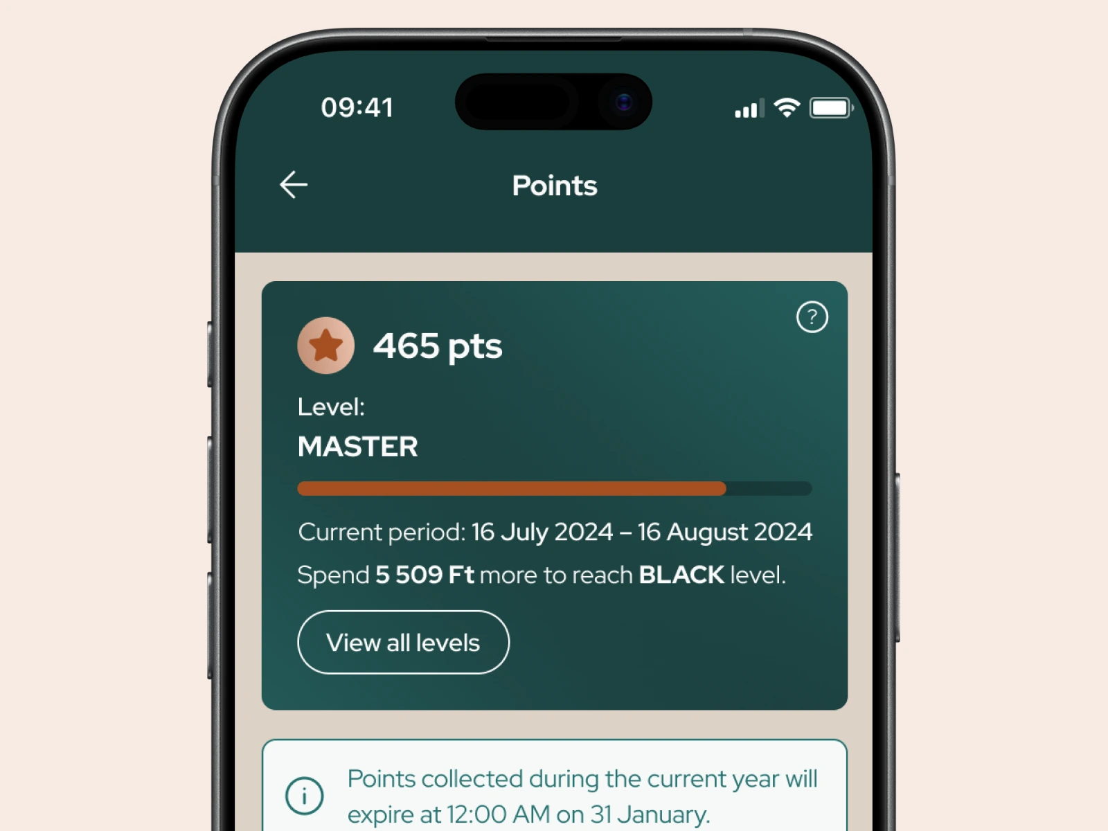Users can earn points by making orders