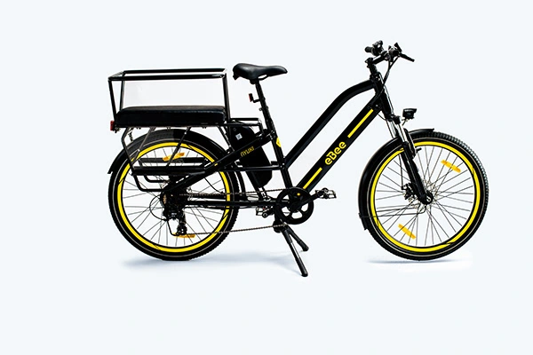 eBee Nyuki with Carrier