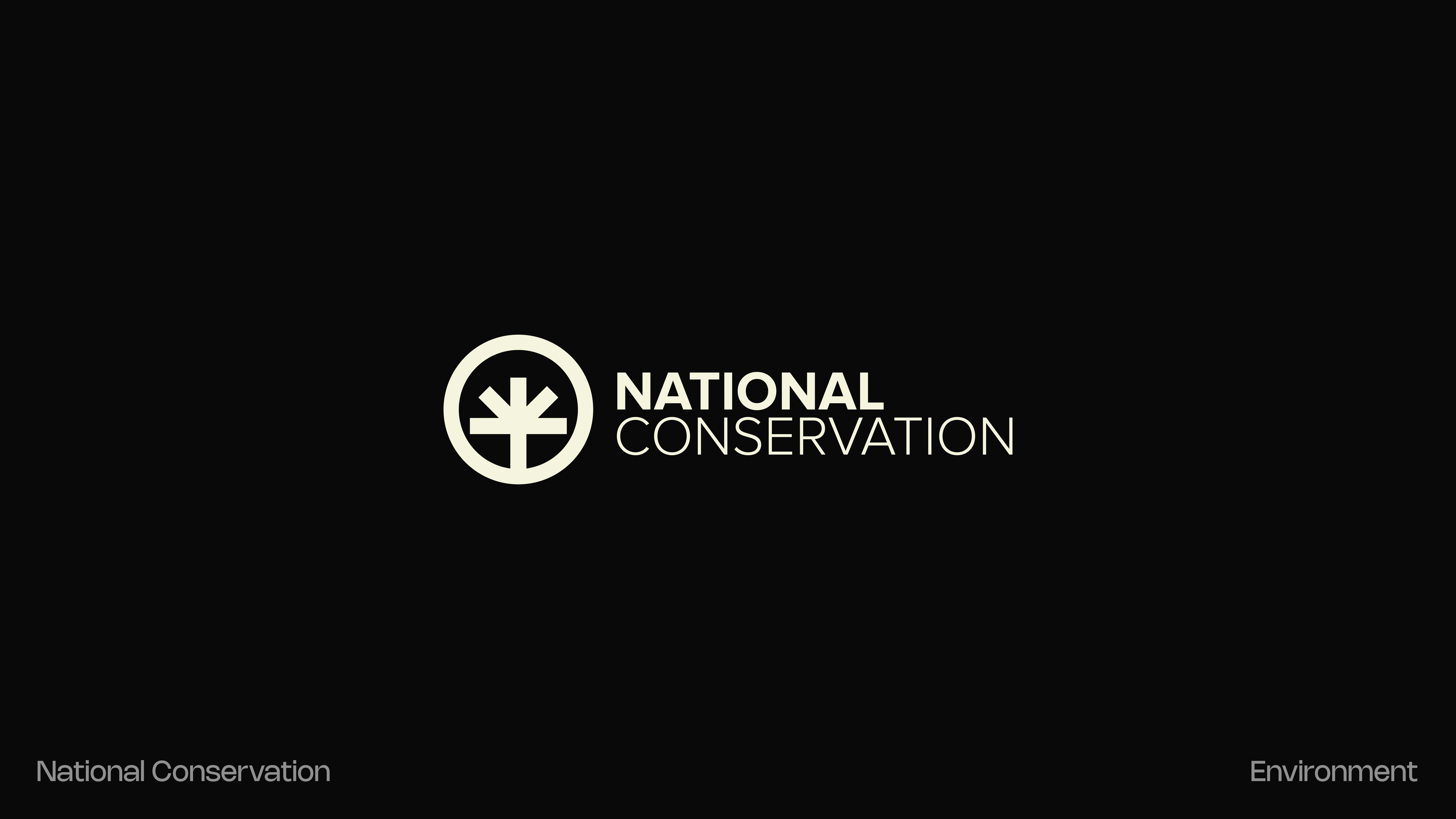 National Conservation created for ane NGO protecting and preserving Madagascar eco-system