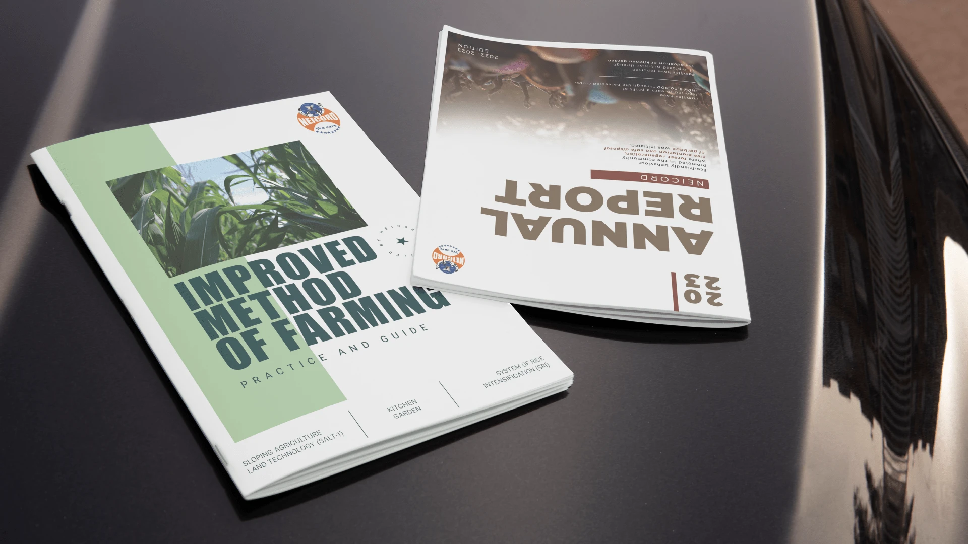 Magazine Design for NEICORD