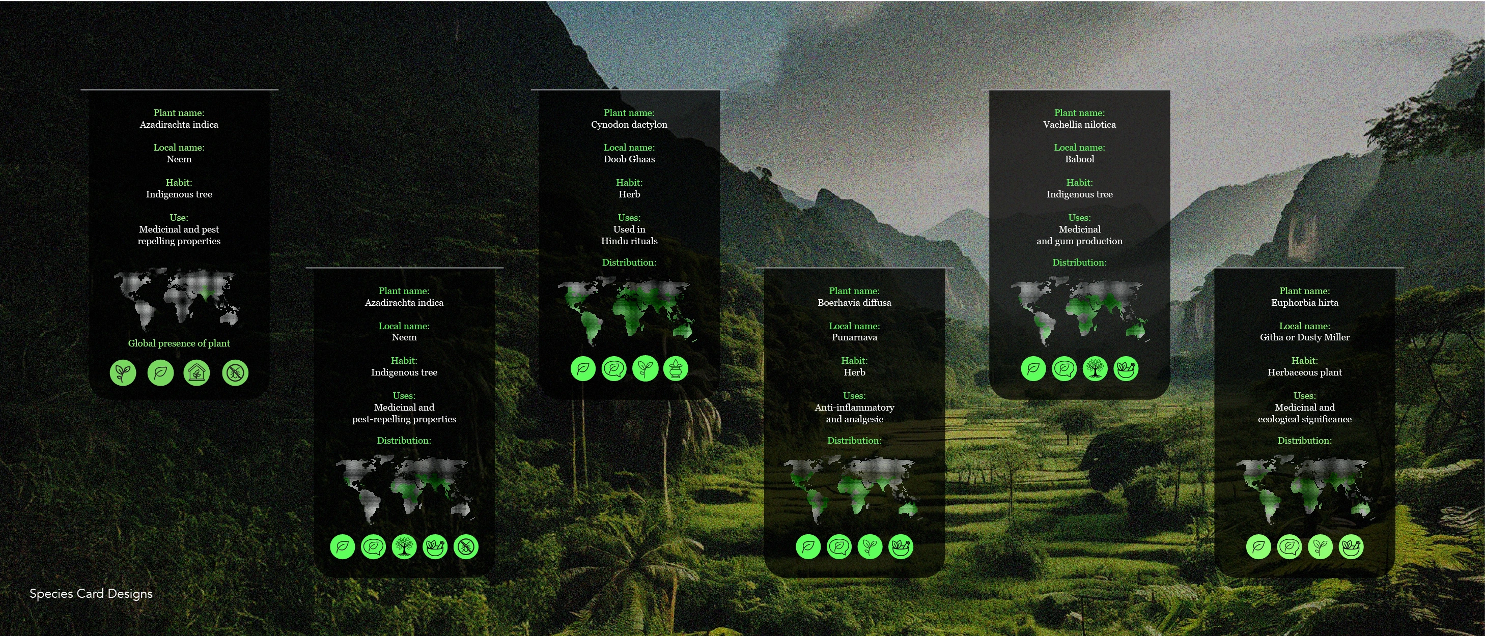 Species Card Designs for each Plant & Animal Species