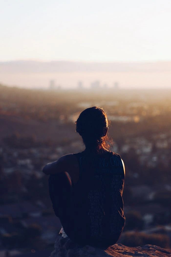 Christopher Sardegna / Unsplash