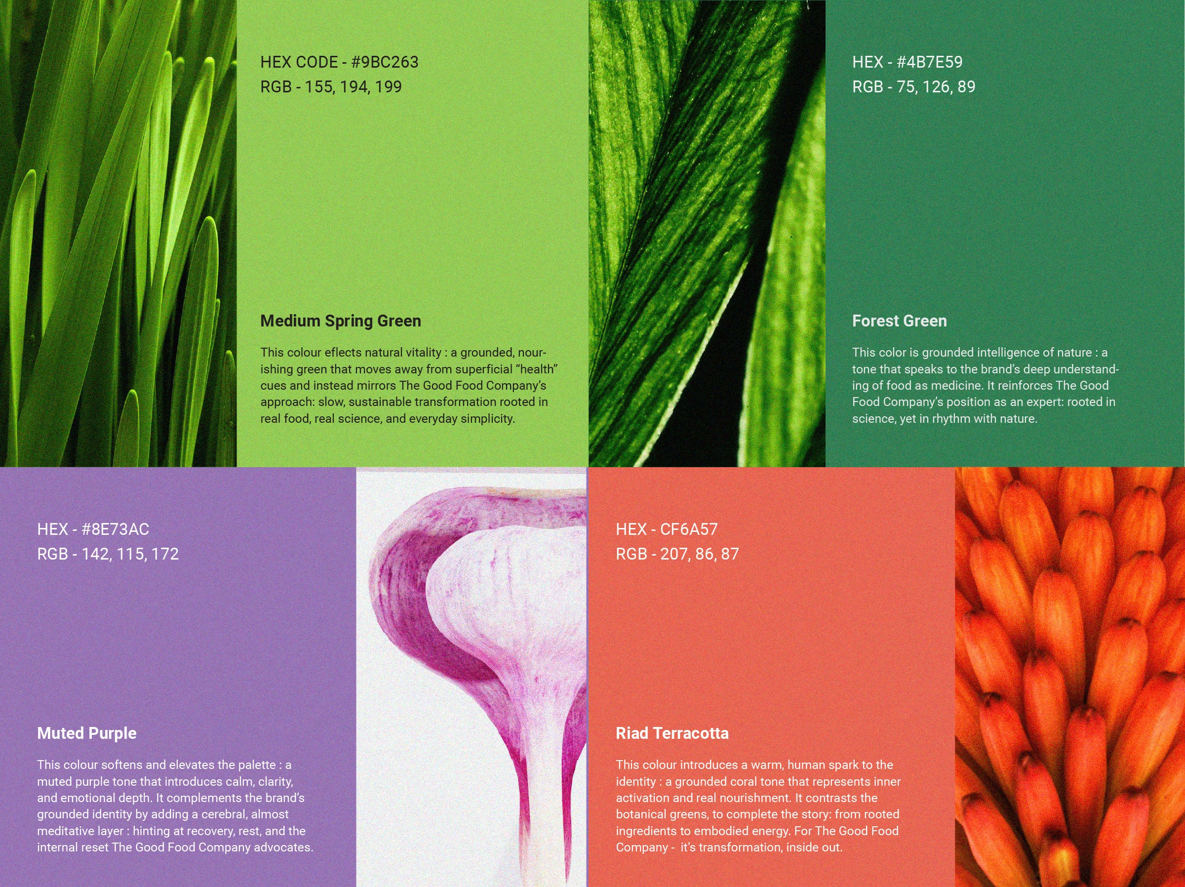 Brand Colour Palette