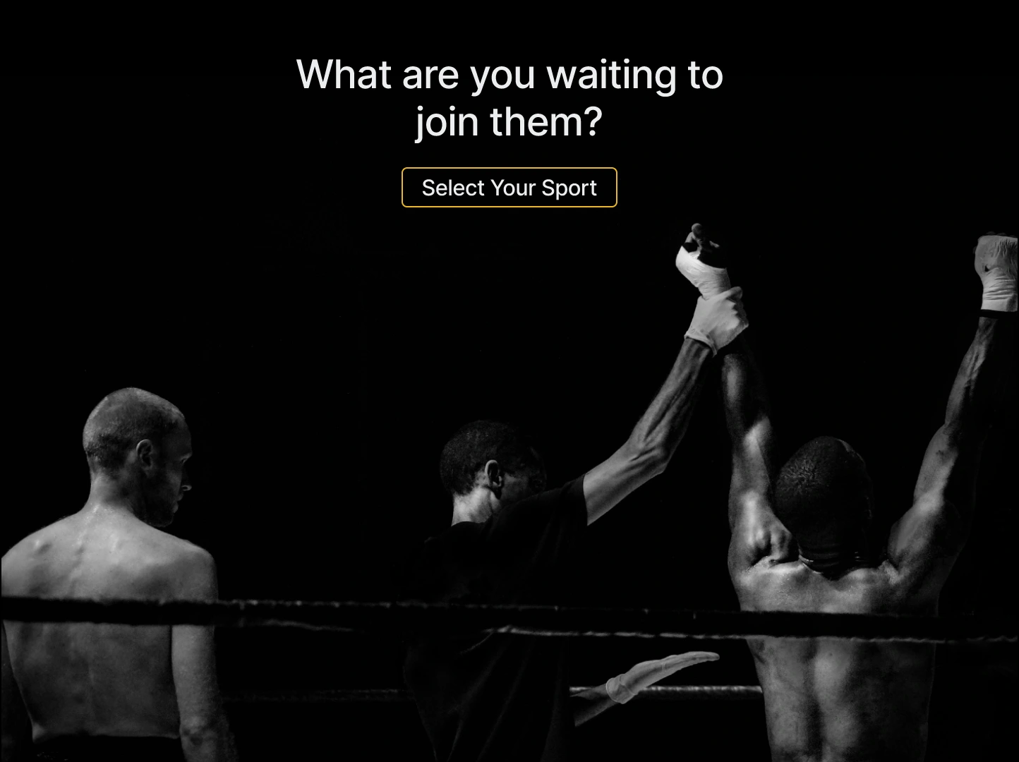 Call to action section of The Best Level landing page.