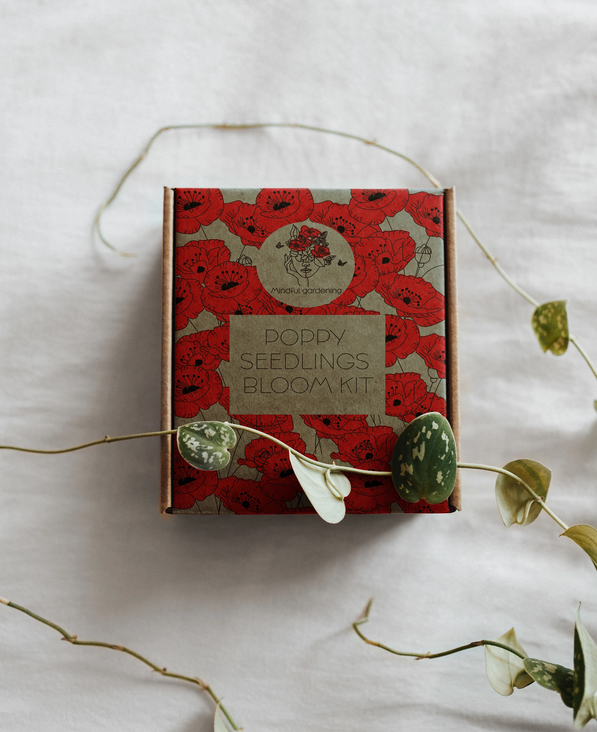 Package design for new product