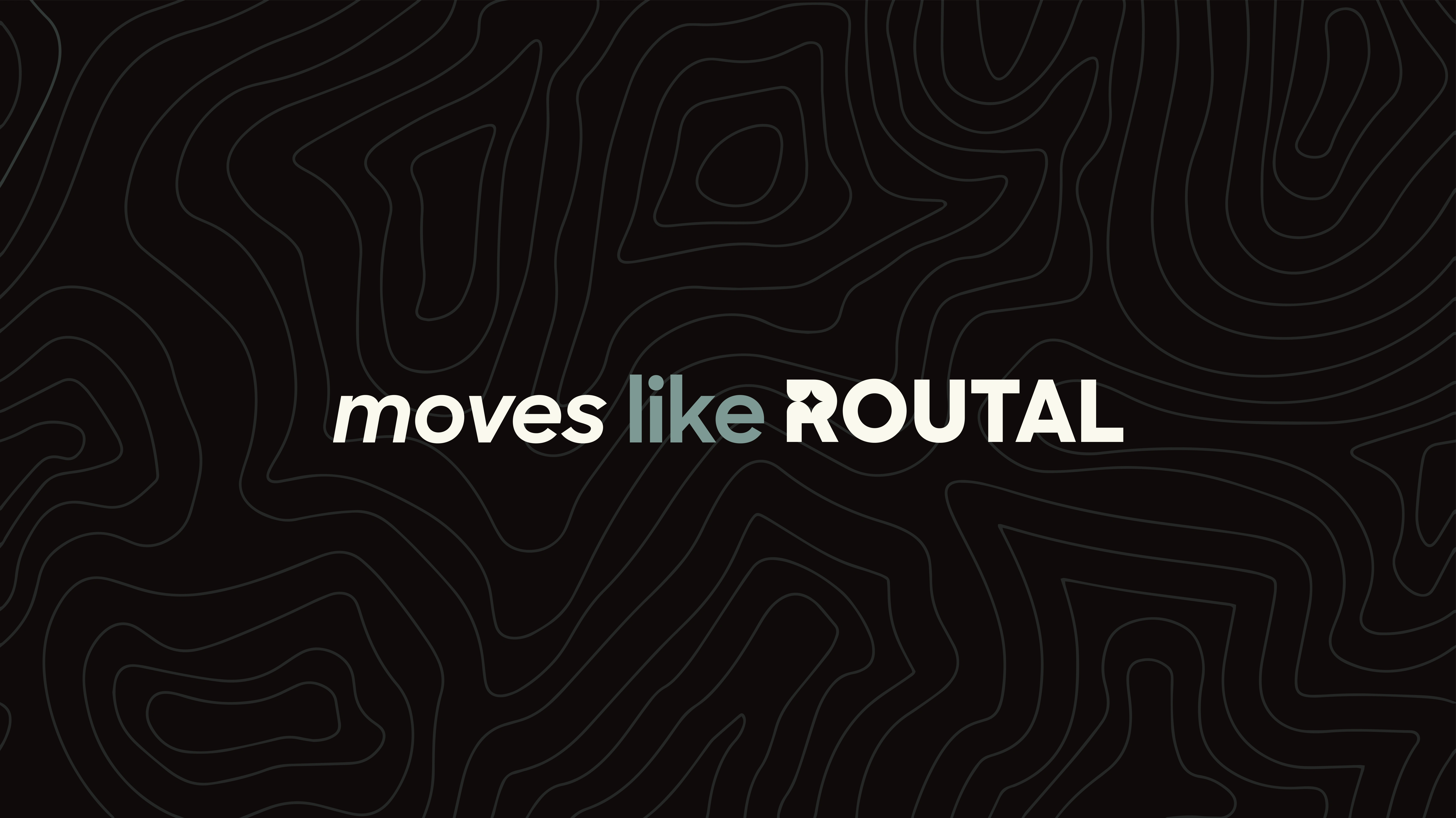 the tagline over the contour lines pattern that works as secondary brand asset
