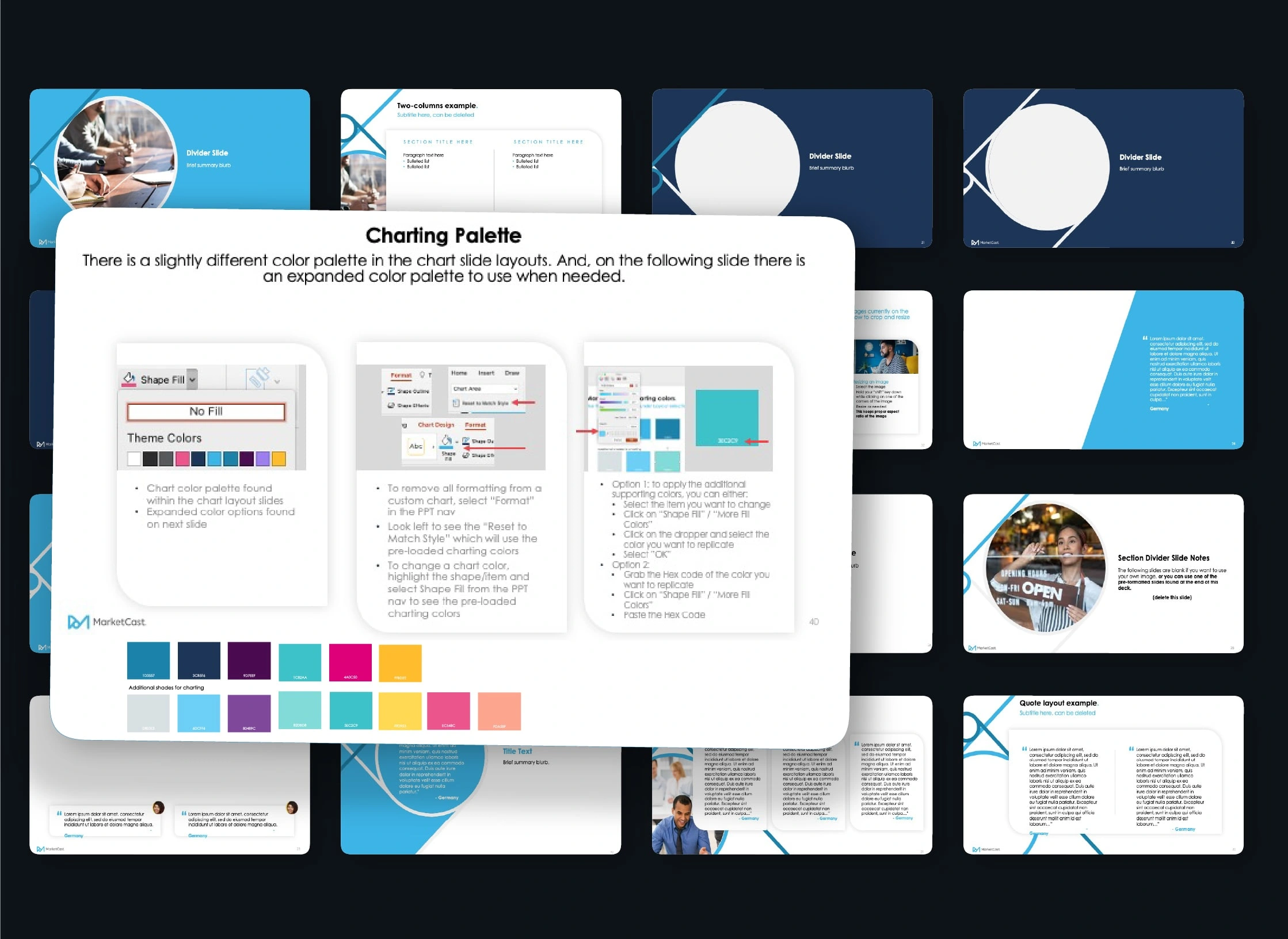 This is the intructional slide on how and when to use the different colors from the brand