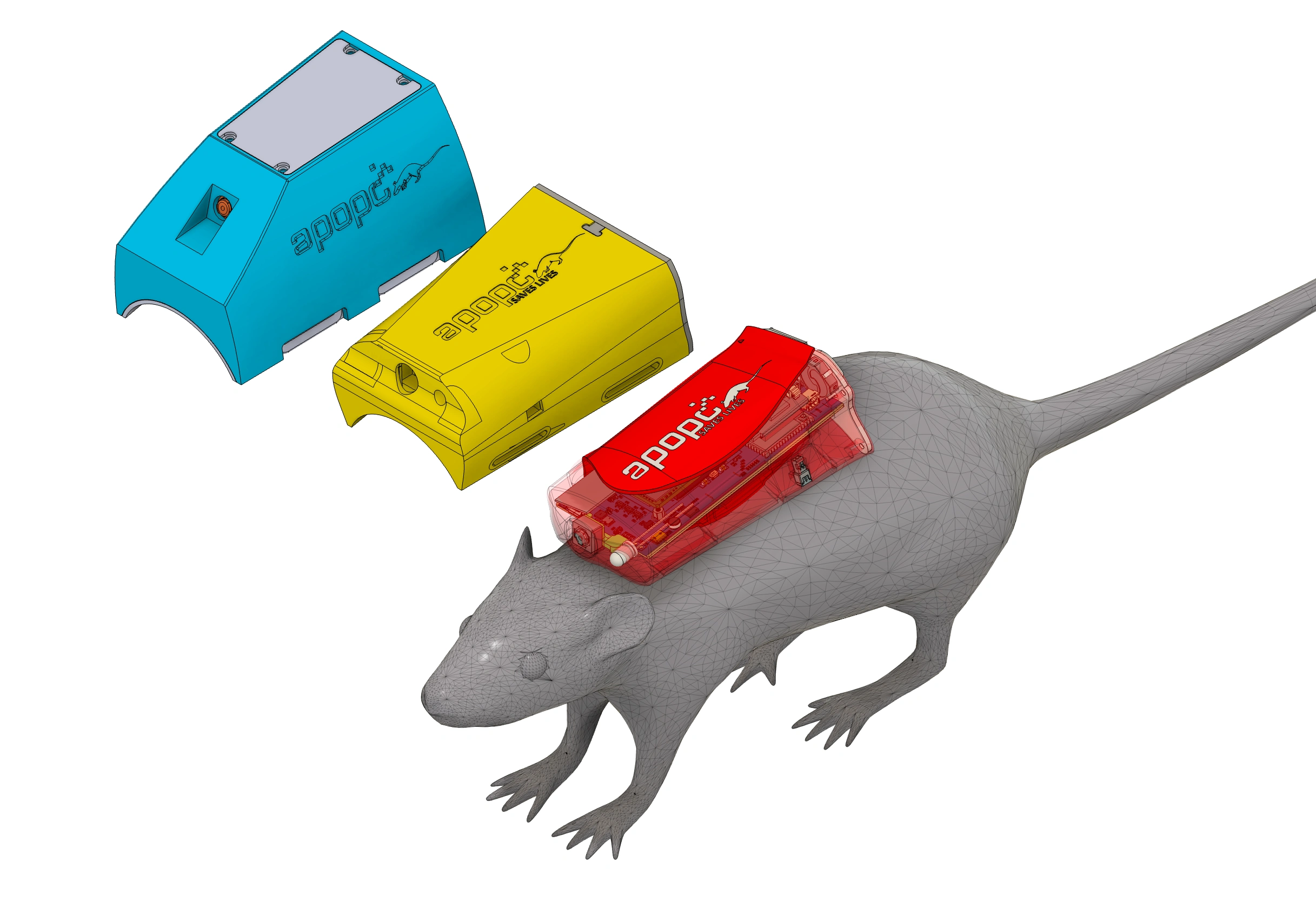 Comparison of the sizes of the 1st(blue), 2nd(yellow) and 3rd(red) generations of the backpack