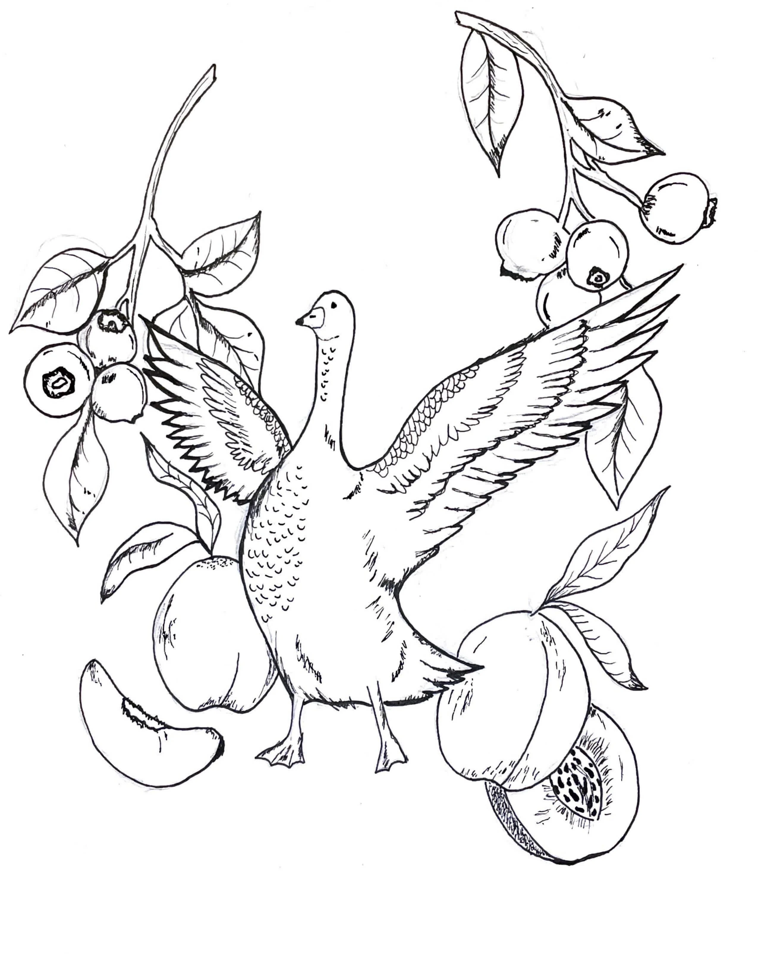 Paper and Pen Illustration
