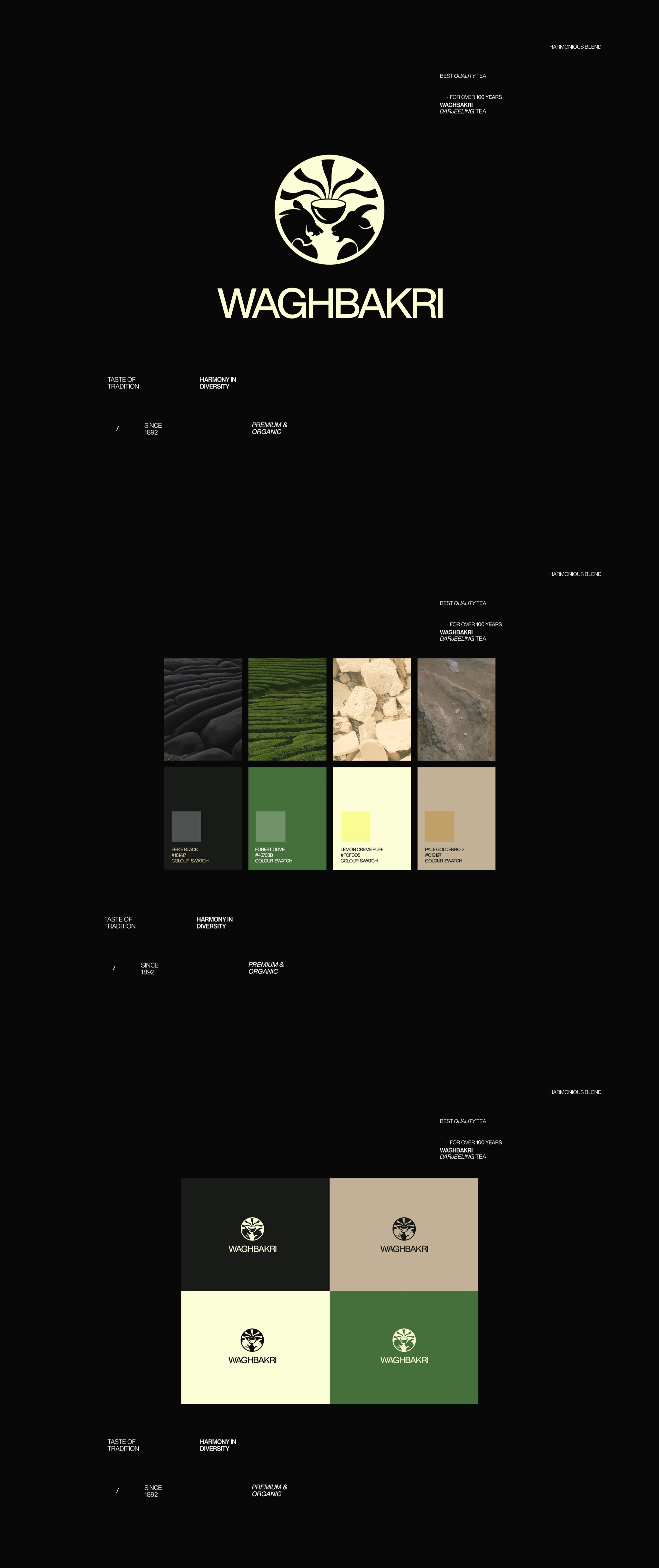 LOGO VARIANTS AND PALETTE