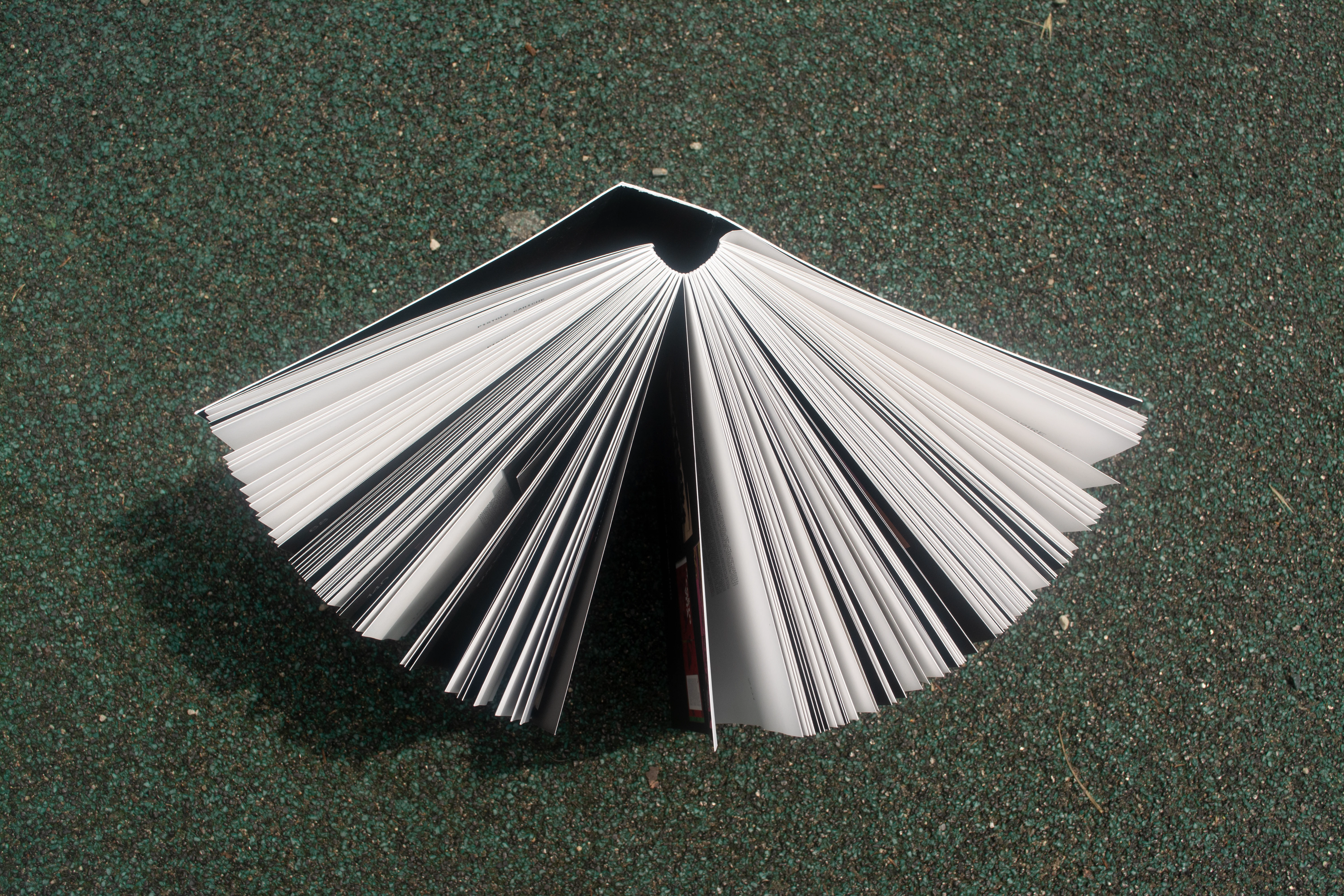 The Swiss-style binding allows the volume to be opened fully, facilitating interaction with it and better enjoyment of its contents. 