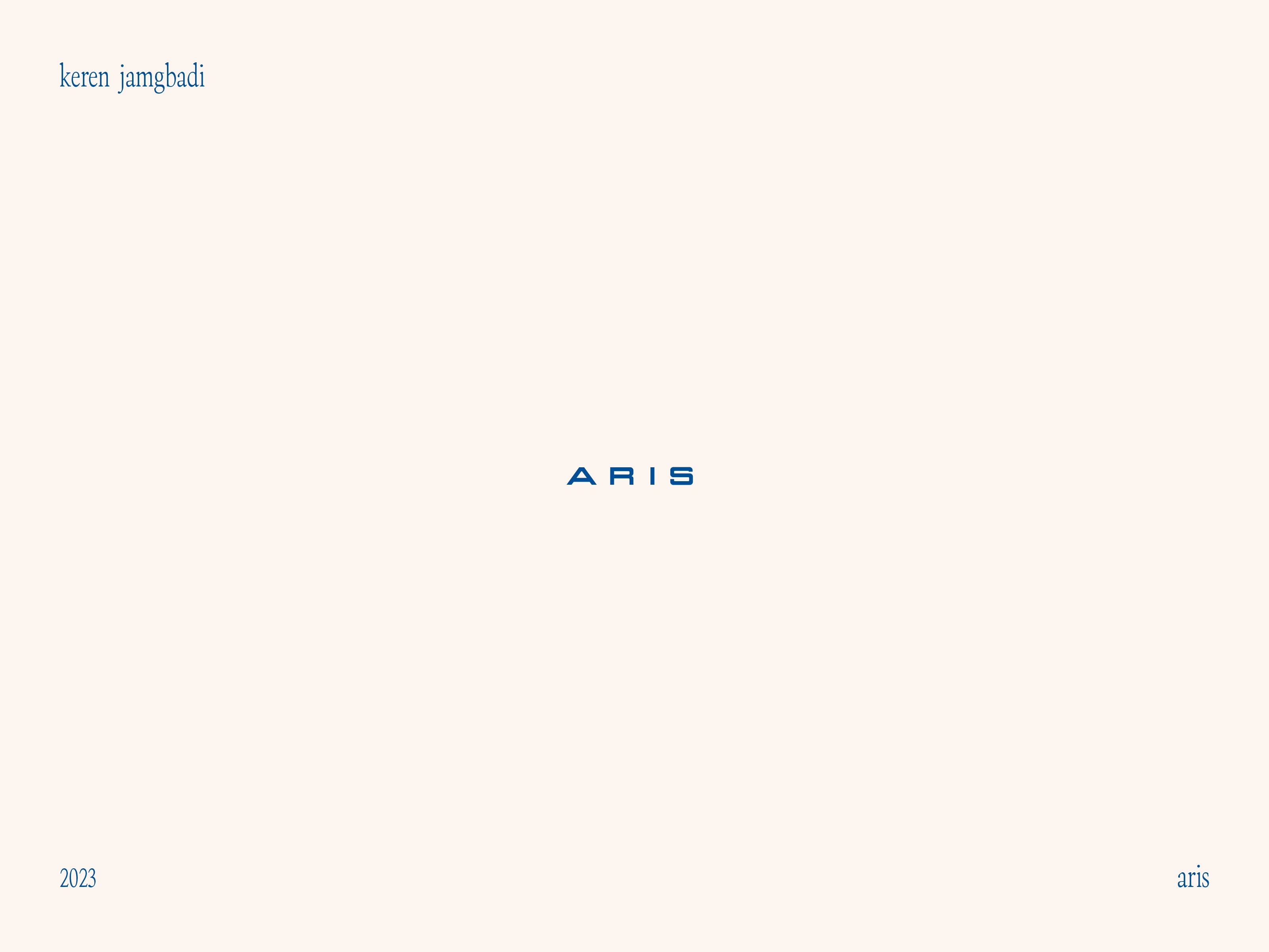 Aris Wordmark Logo