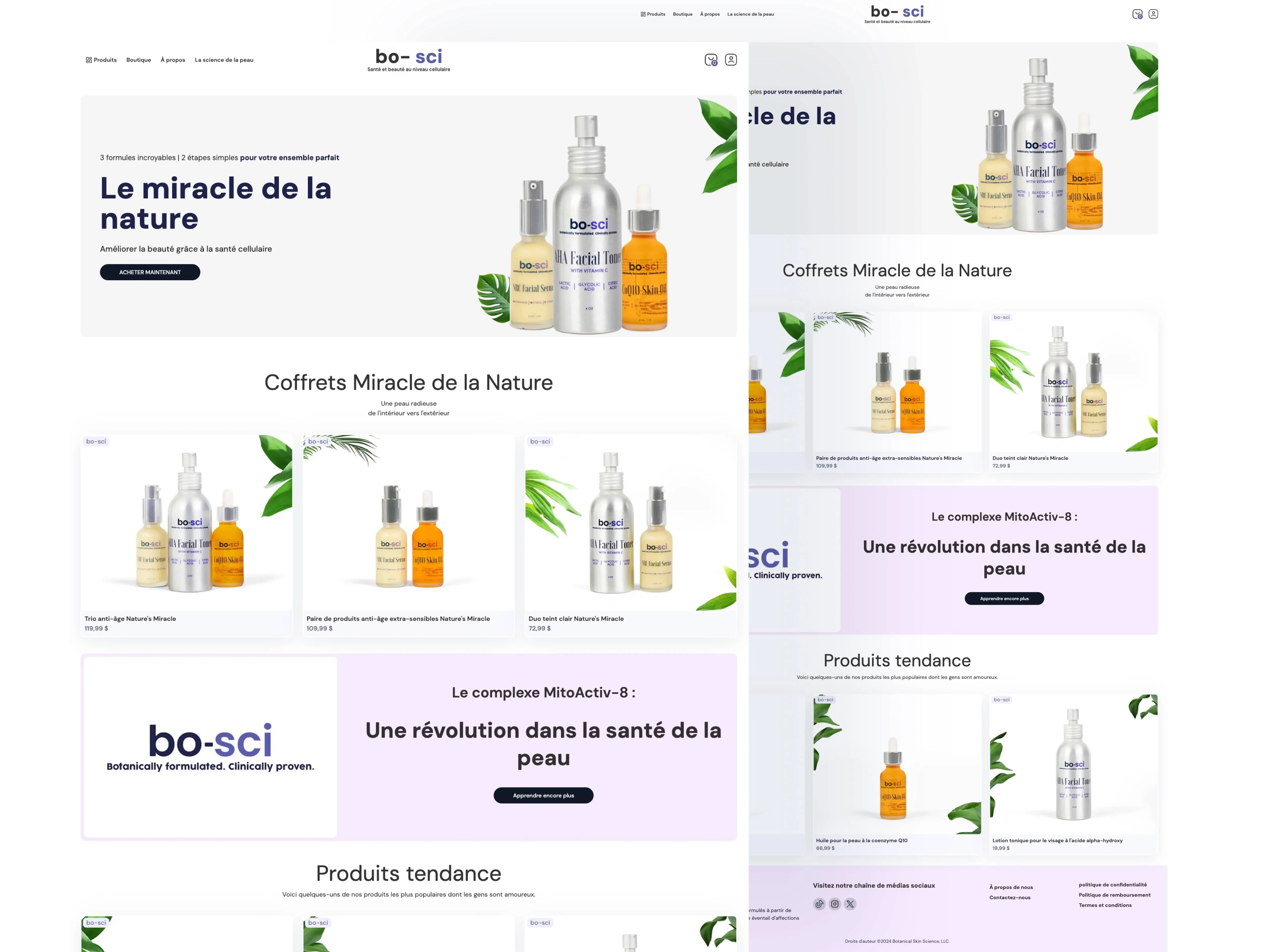 ↳New Website