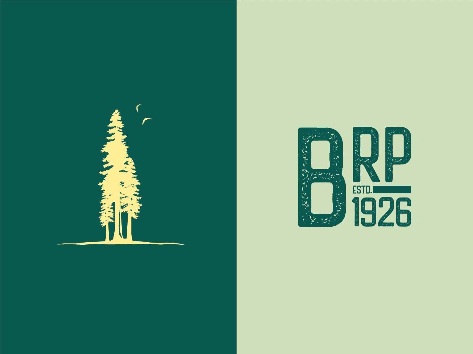 Iconography and typeset logo.