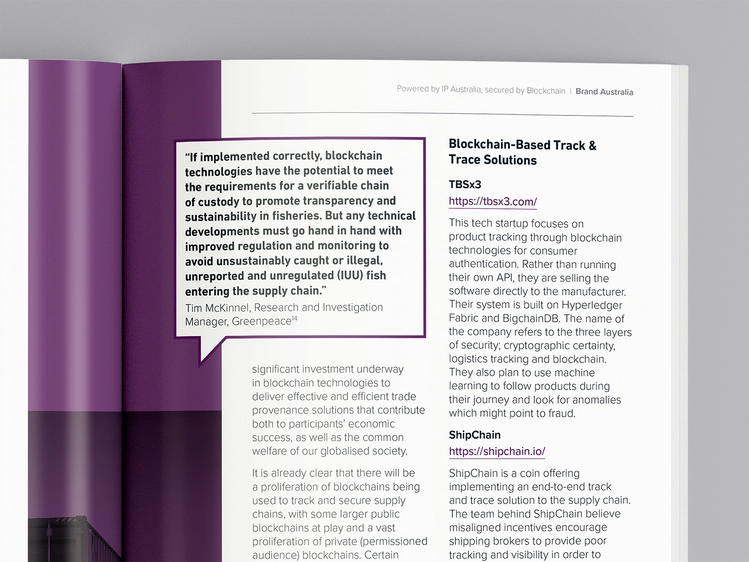 Interior Spread – Quote & Solutions – Pull quote layout combined with clean, two-column text and brand color accents.