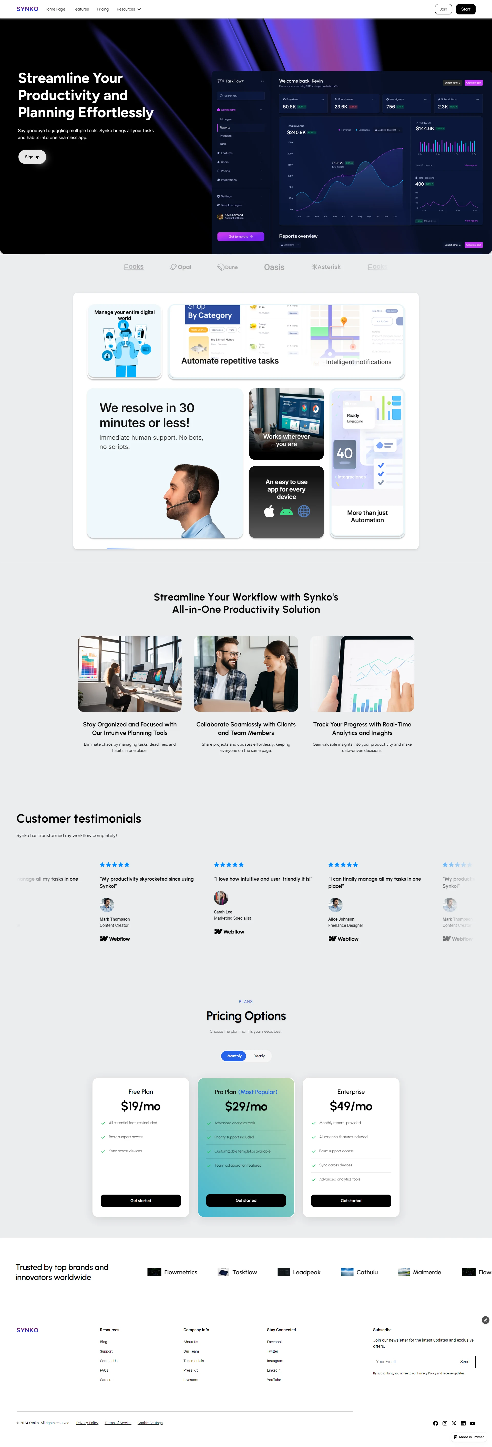Complete view of Synko website