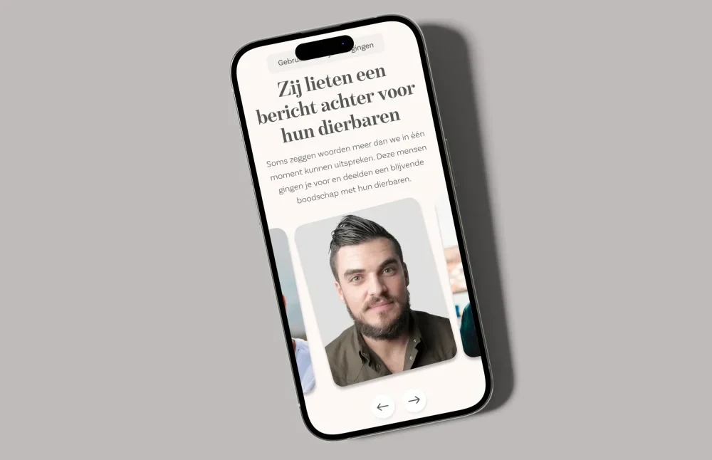 Mobile version website