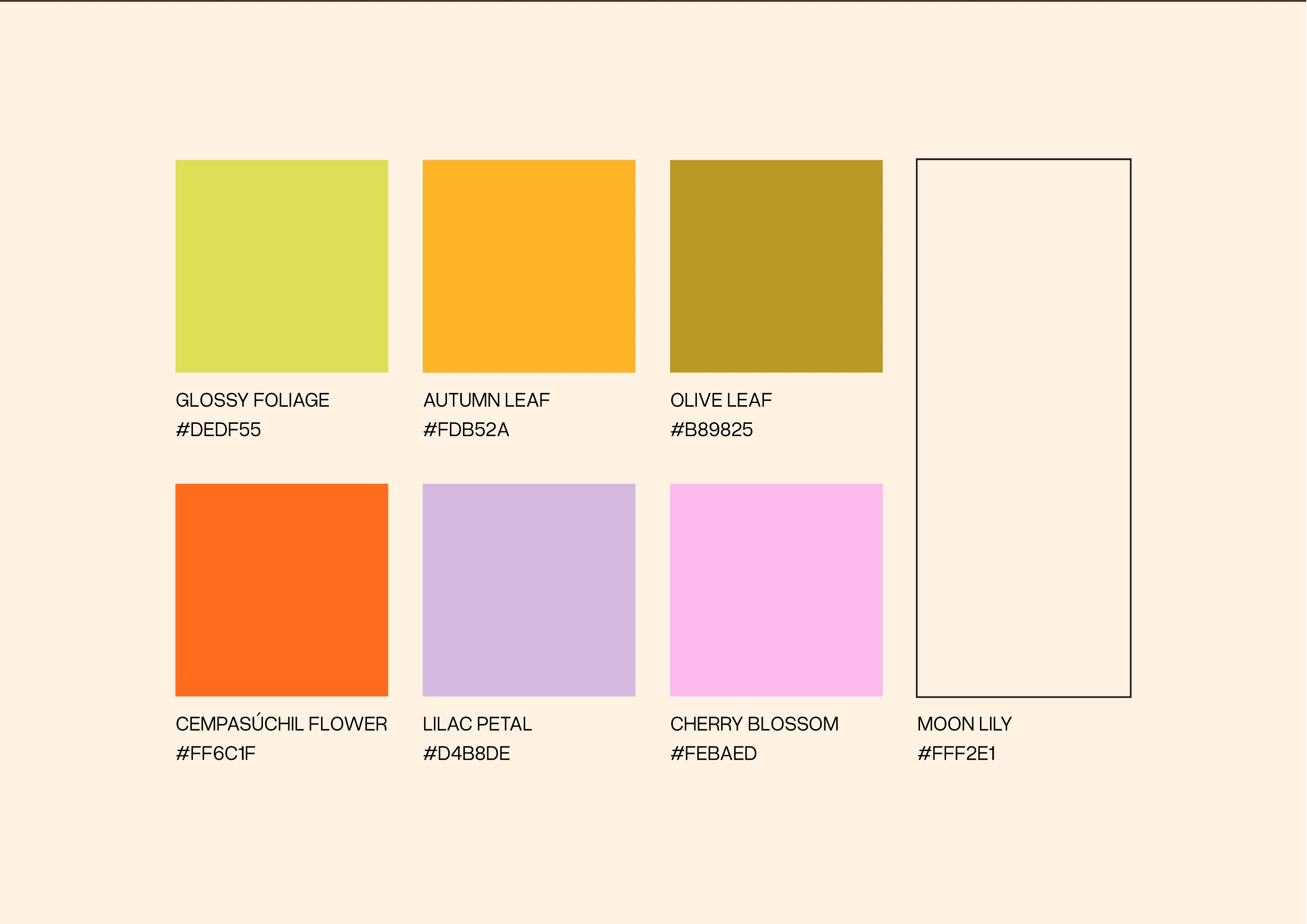 This is an overview of the color palette system. The client receives a more insight information about the color and how to use and combine them for good contrast.