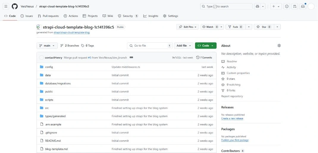 Overview of Strapi repository