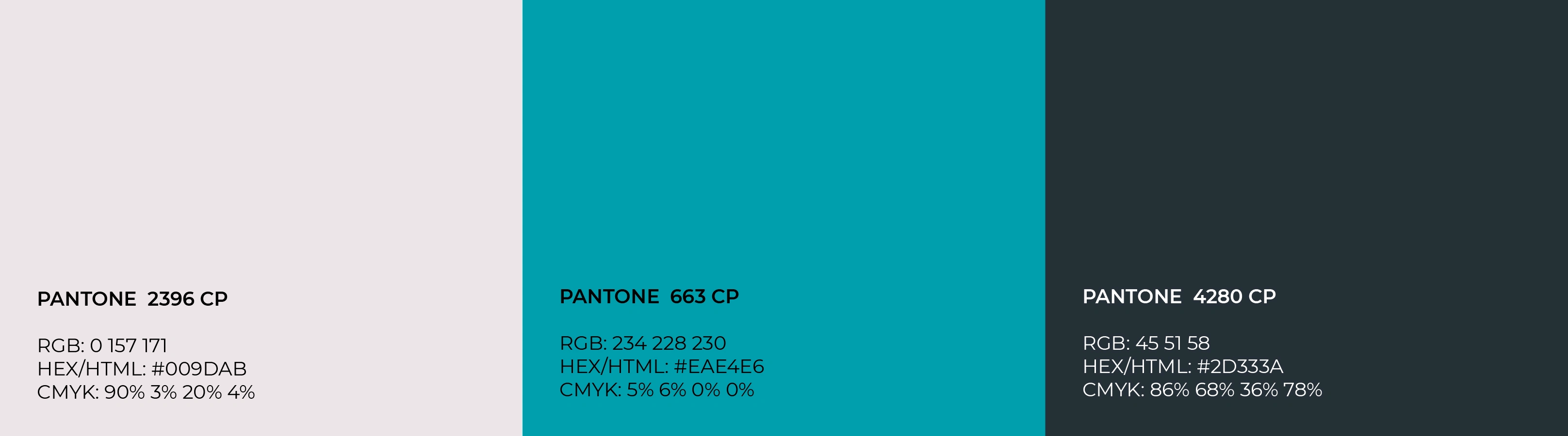 A greenish blue, to convey the idea of the sea, explaining: Influenced by the surname Costa, we have the following meaning; "who lives by the hillside," "who is native to the coast," with that in mind, we chose this blue that complements
the color of the sea, both to convey an idea of trust and tranquility and to give an idea of extension and grandeur. White, the base color, we chose a slightly faded white, so as not to tire the eyes and to add a touch of elegance. Black, also a base color, we used this slightly faded black to convey the idea of exercise and to be less visually tiring and strong.