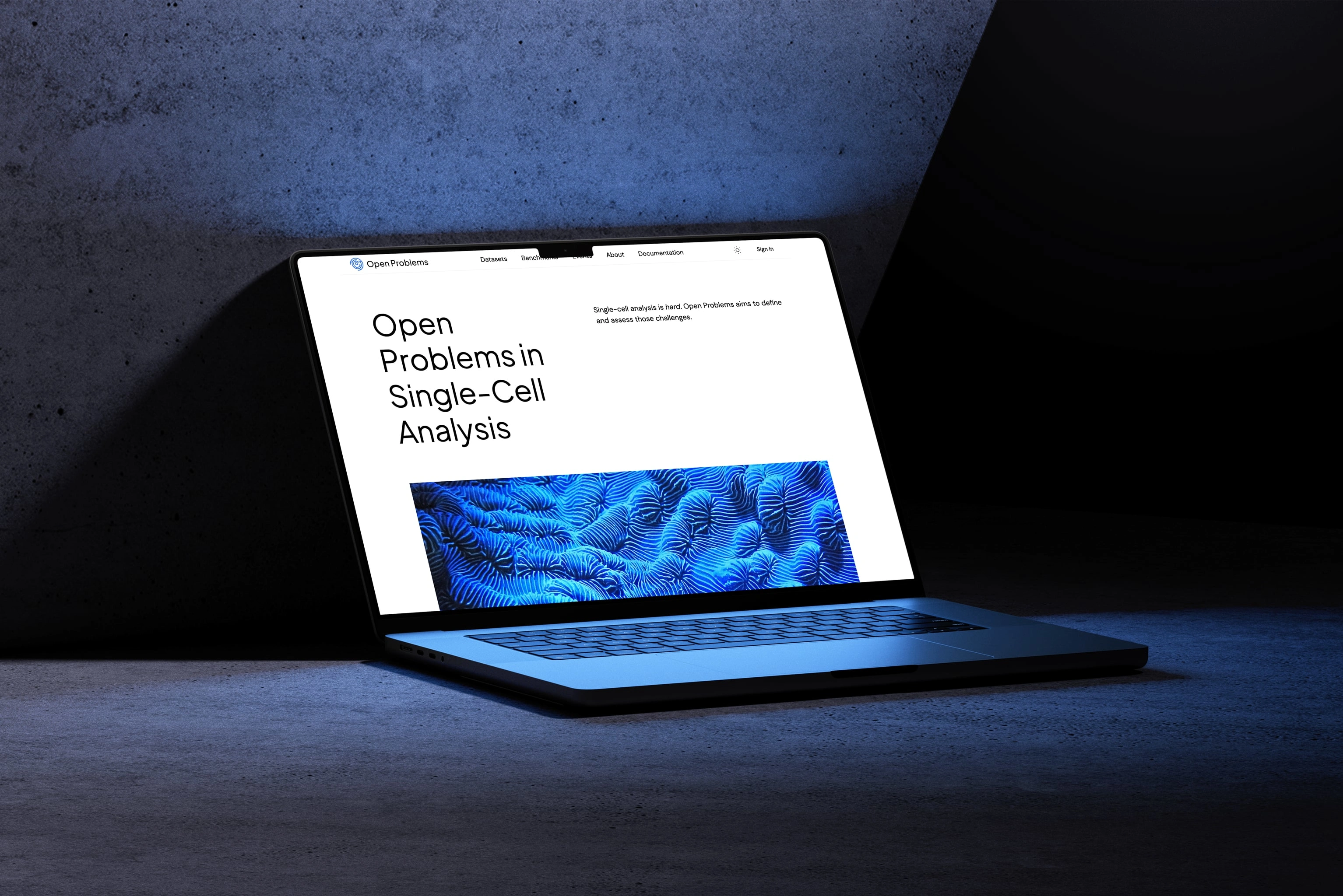 Open Problems brand implemented in their new website