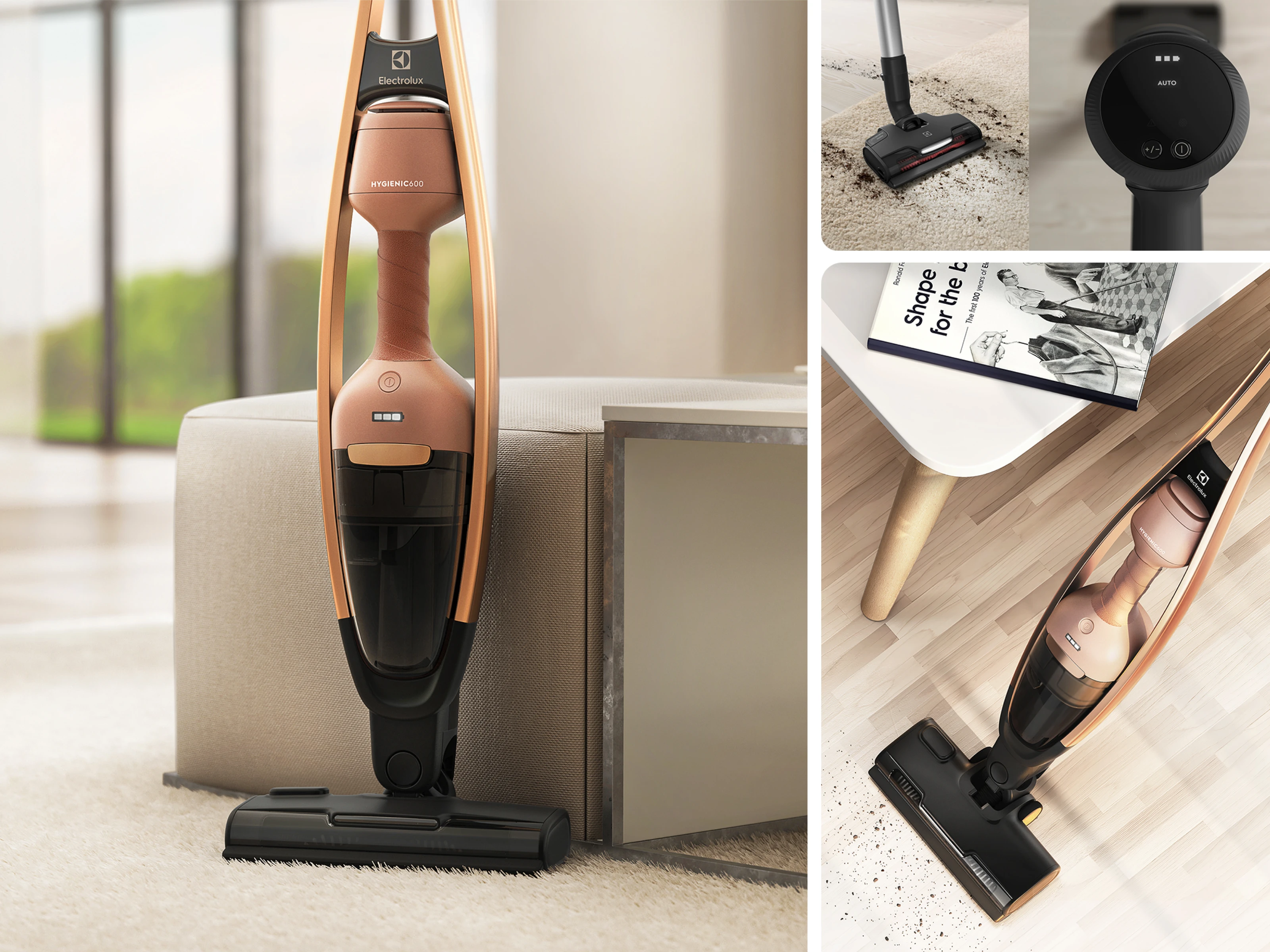 Electrolux Vacuum details