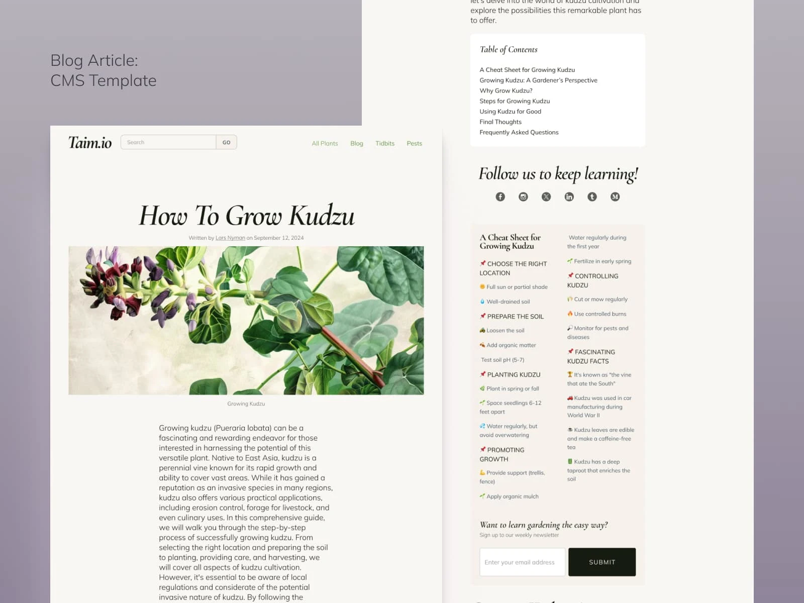 CMS template for a blog article