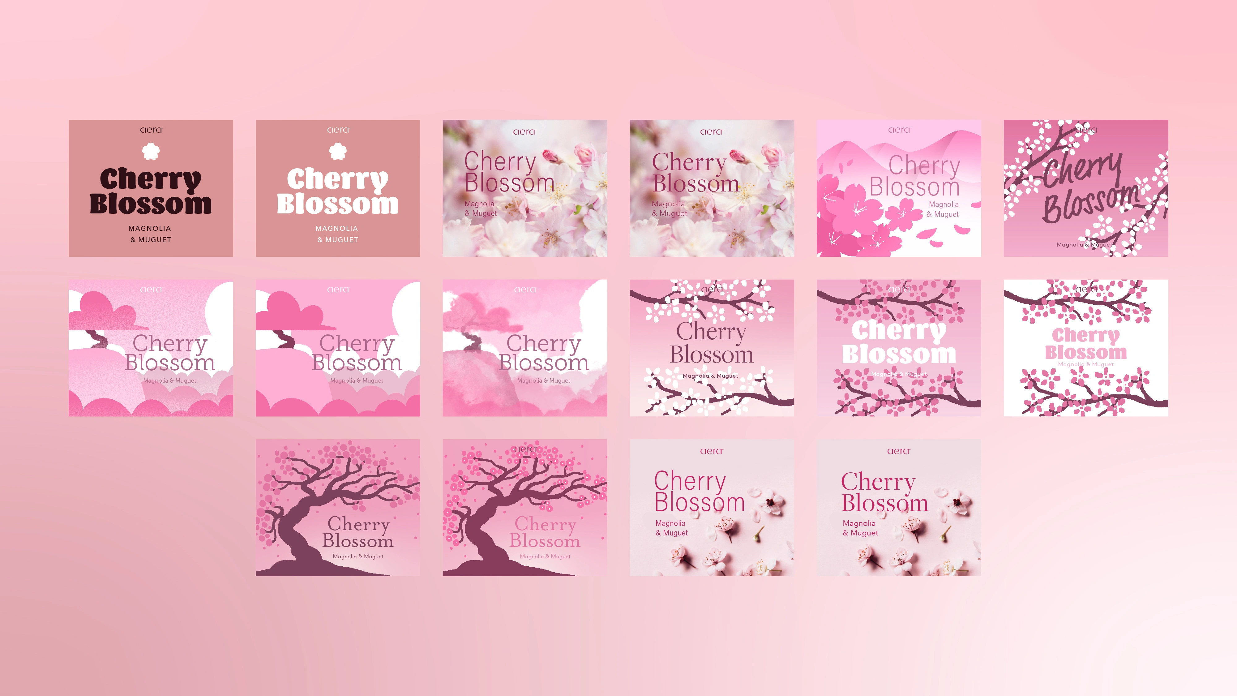 Rough additional concepts explored.