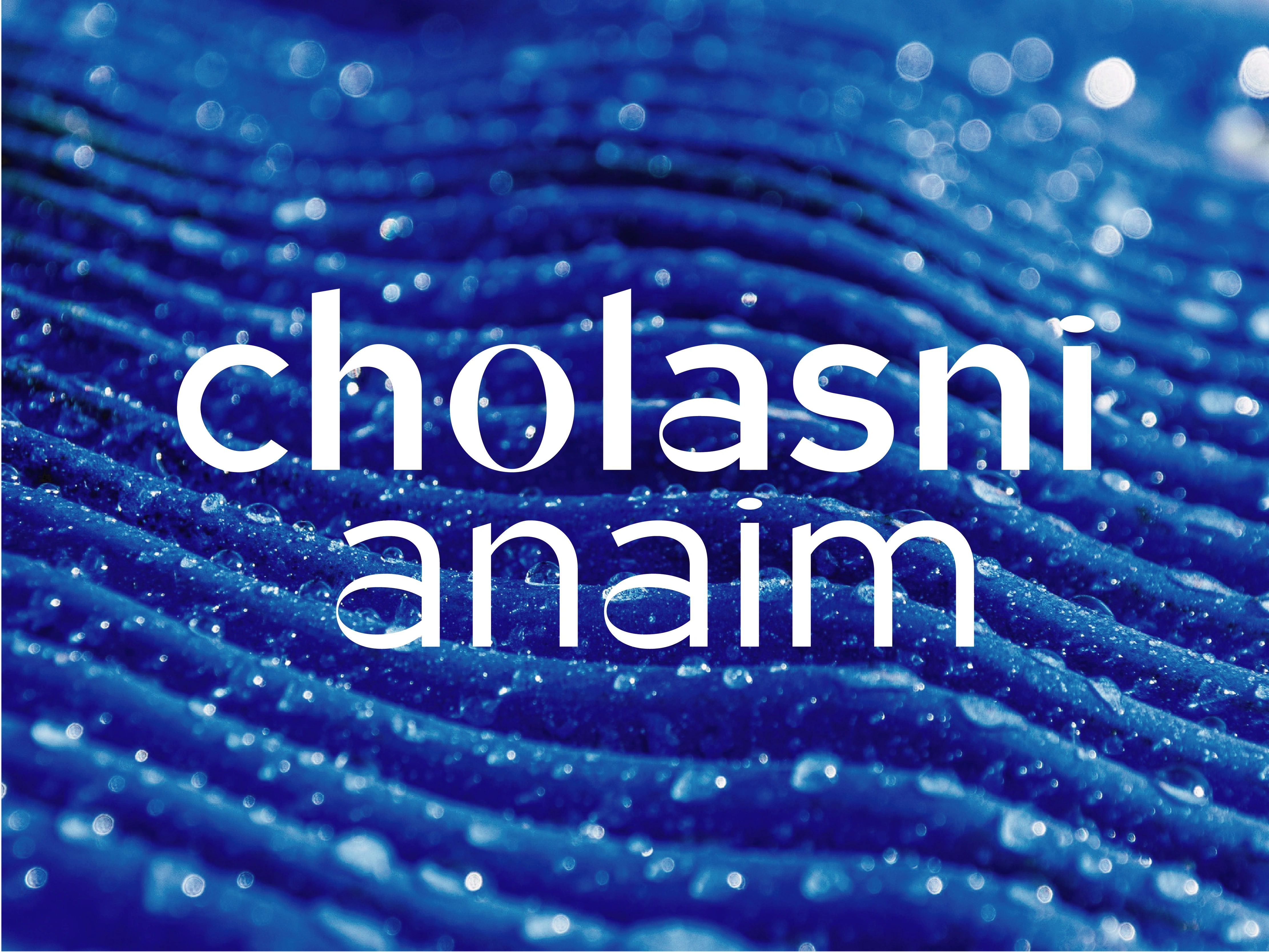 Cholasni Anaim logotype