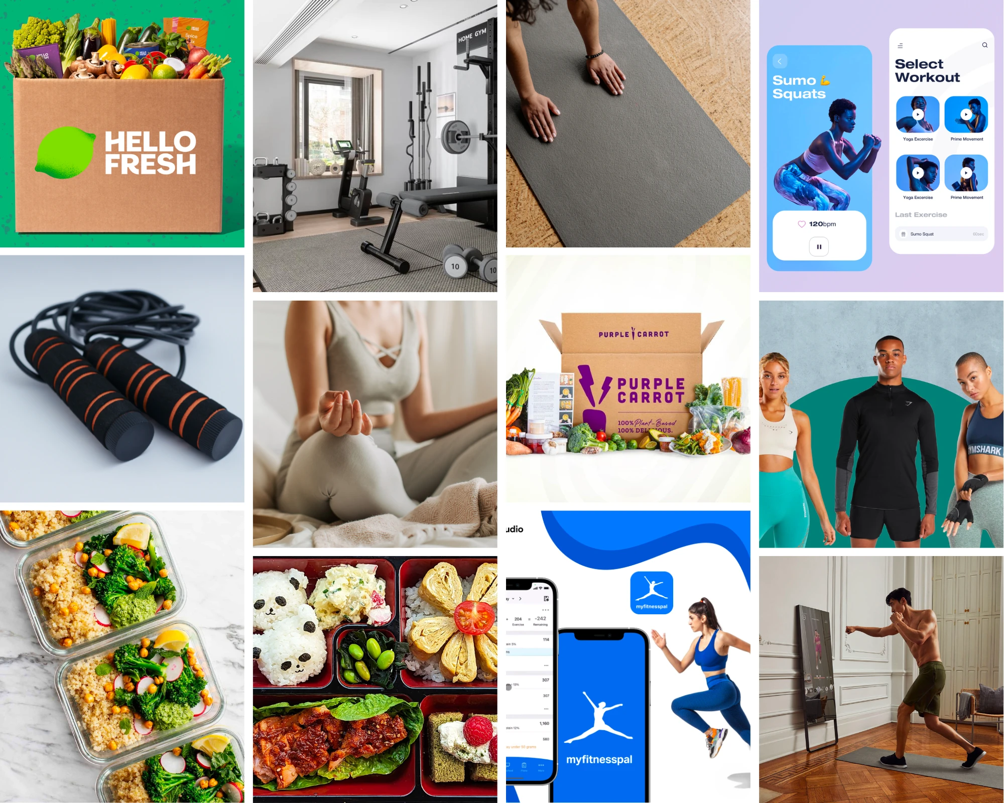 My inspiration for Fitverse came from studying successful health and fitness brands like HelloFresh and Gymshark, exploring fitness workouts and affordable diet plans, and using mood boards to stay creative during the project.