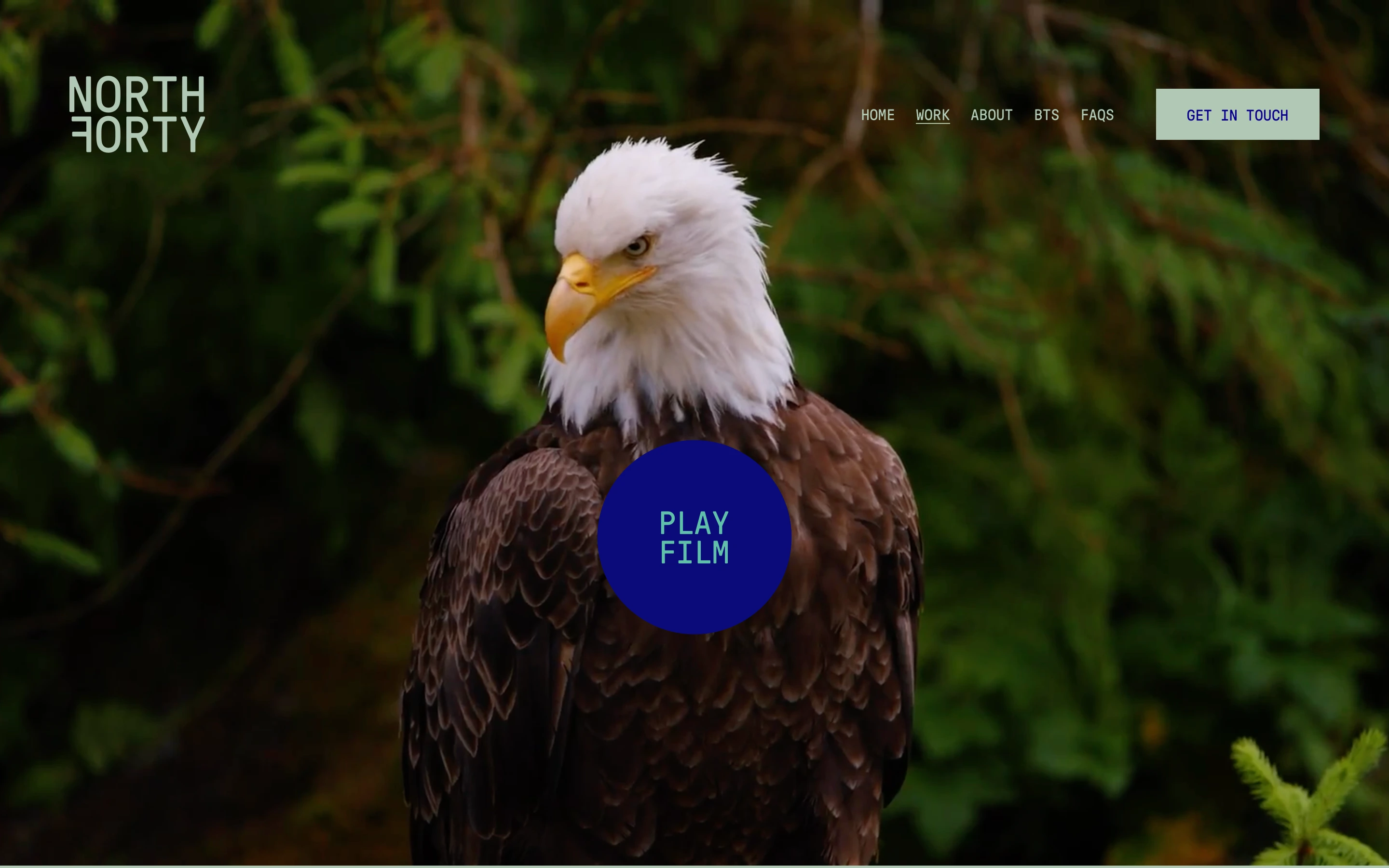 Custom Play Button and Overlay for Film Projects