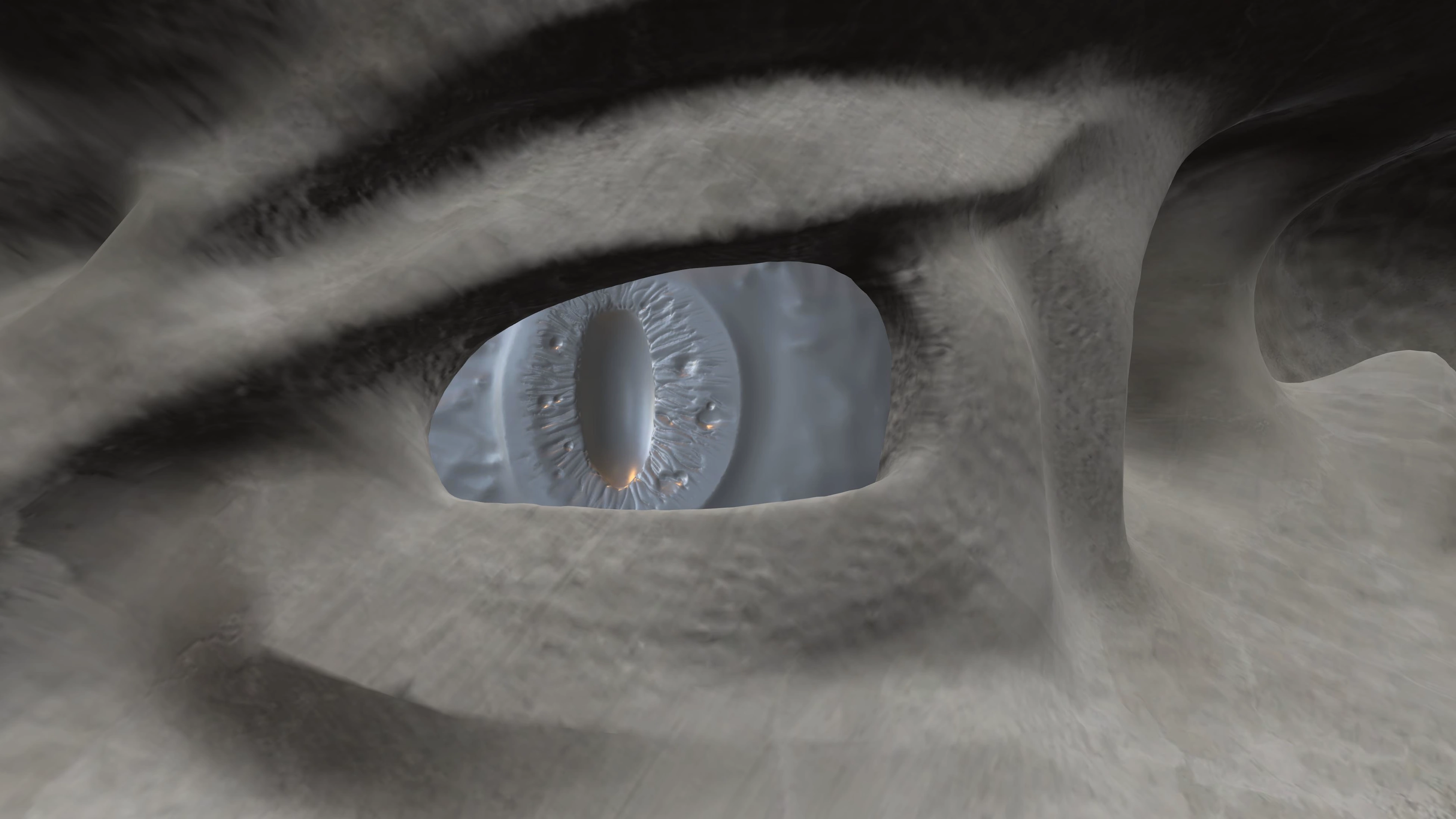 First time seeing its eyes.