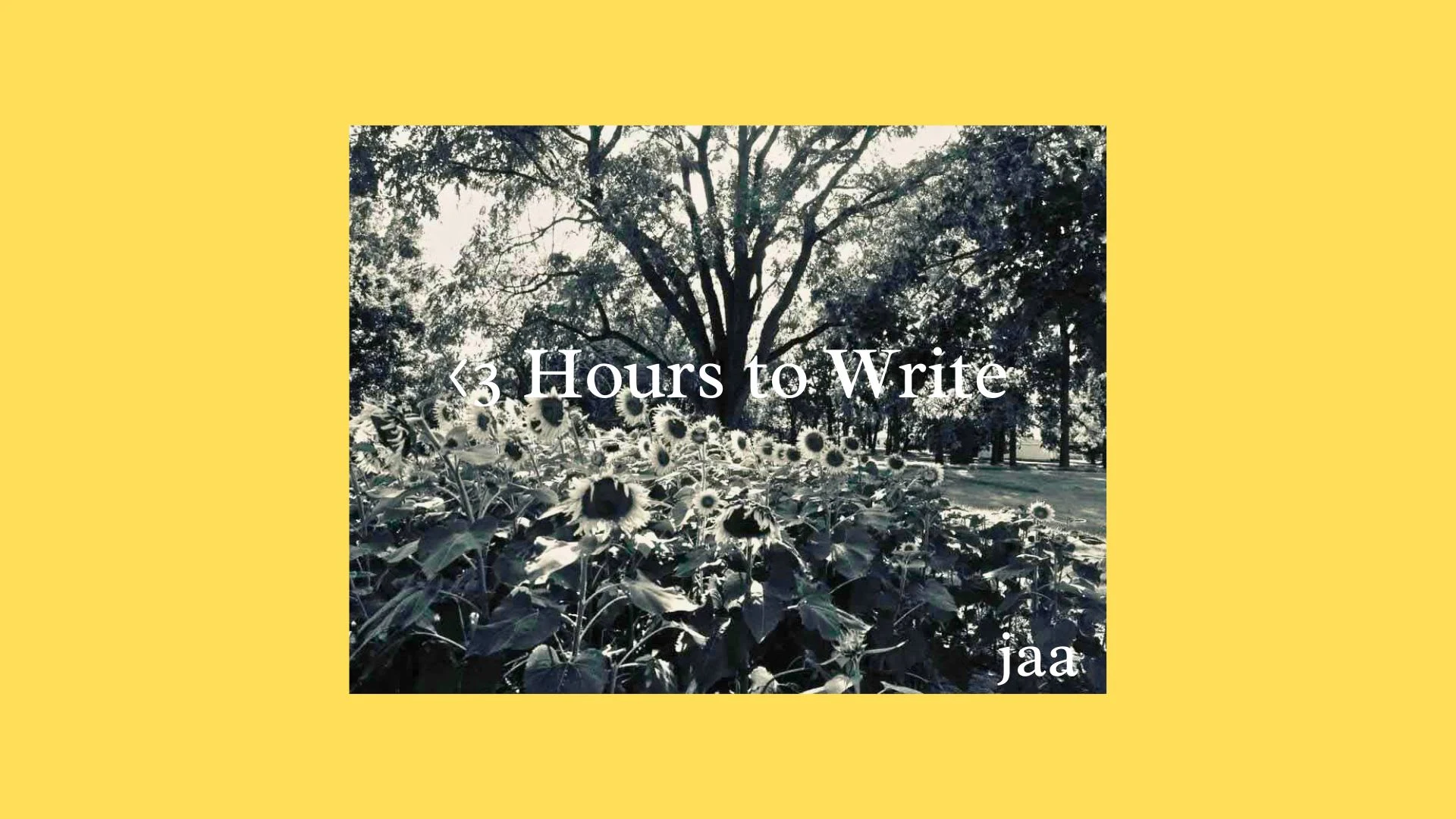 This project was an endeavor for me to explore a creative prompt with a fast paced schedule to yield a personally rewarding result.